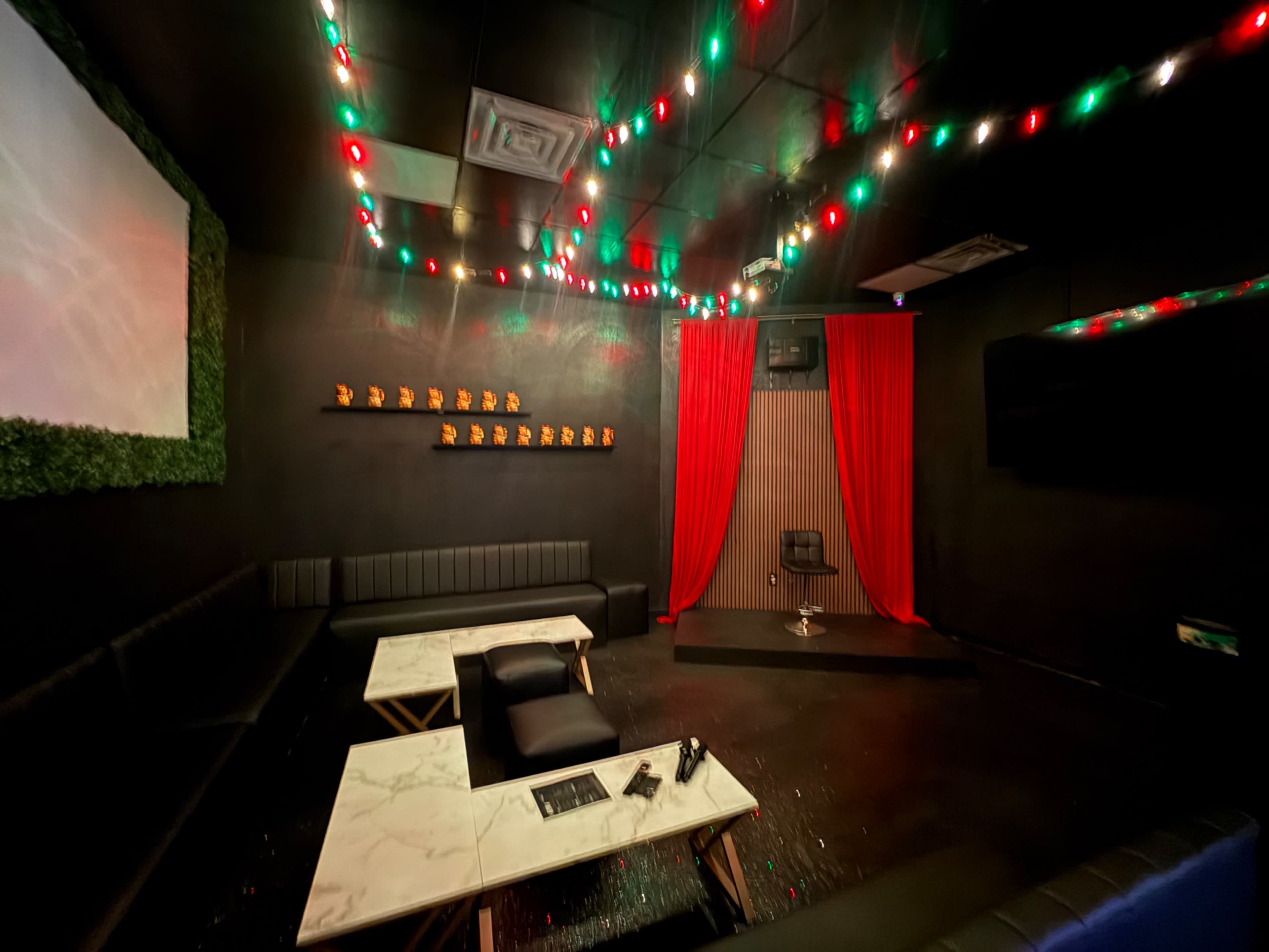 Themed private room for karaoke or events Image in Pearland, Pearland, TX