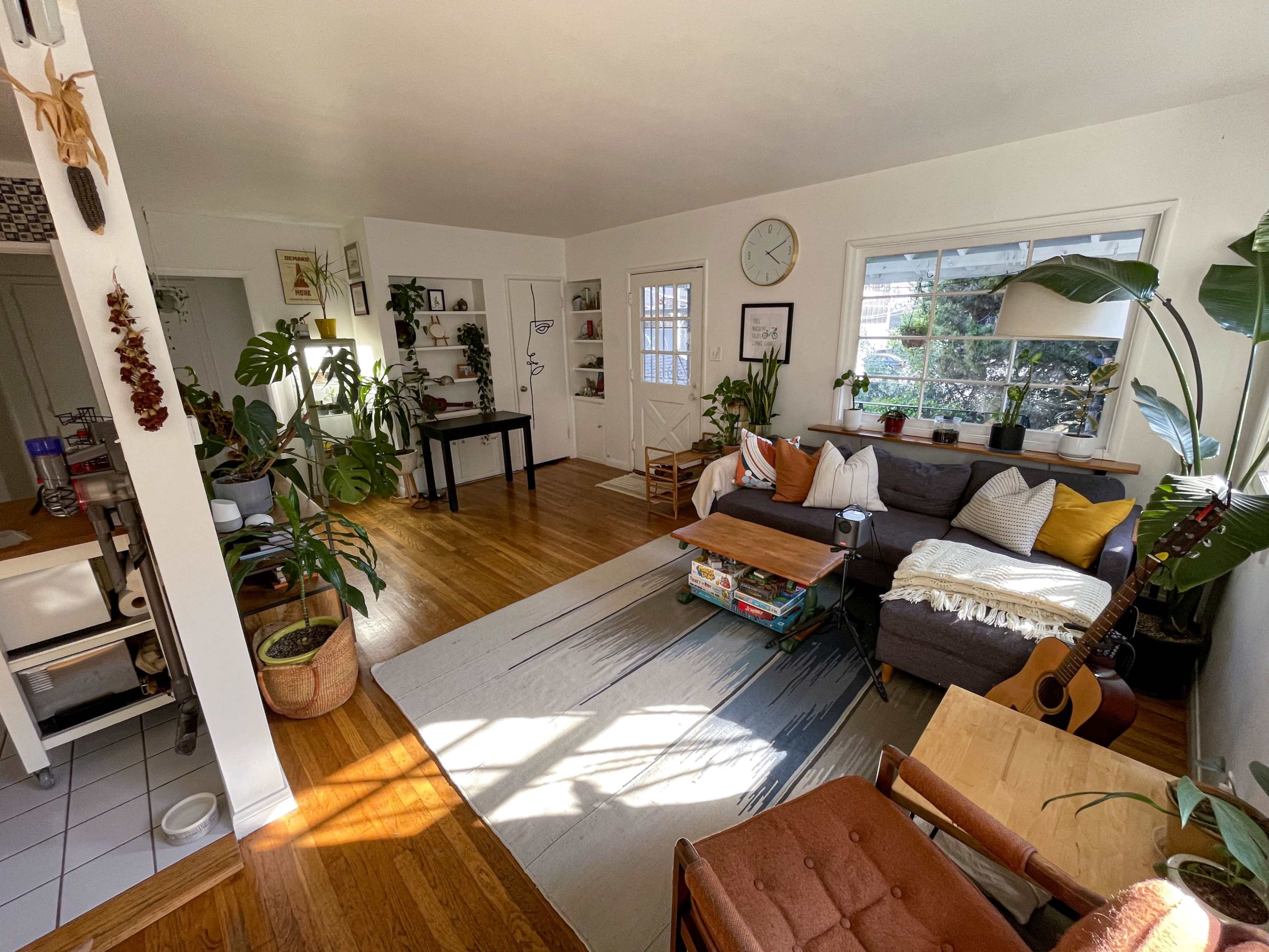 A bright living room with a mix of furniture, plants, and wooden flooring, featuring a sofa, coffee table, and decorative shelves.
