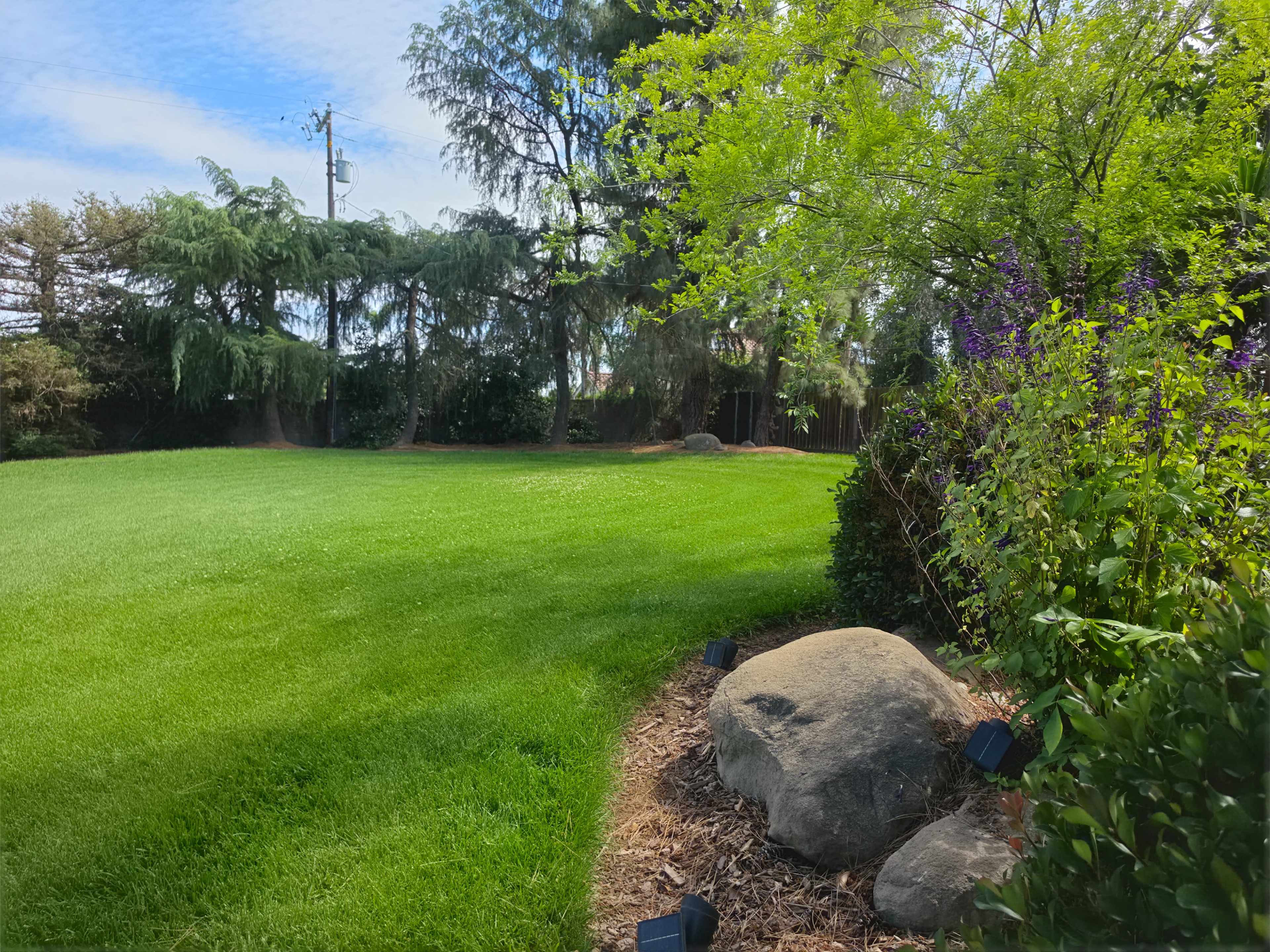 The image shows a grassy area with large rocks and various plants along the edge, surrounded by trees and a blue sky.