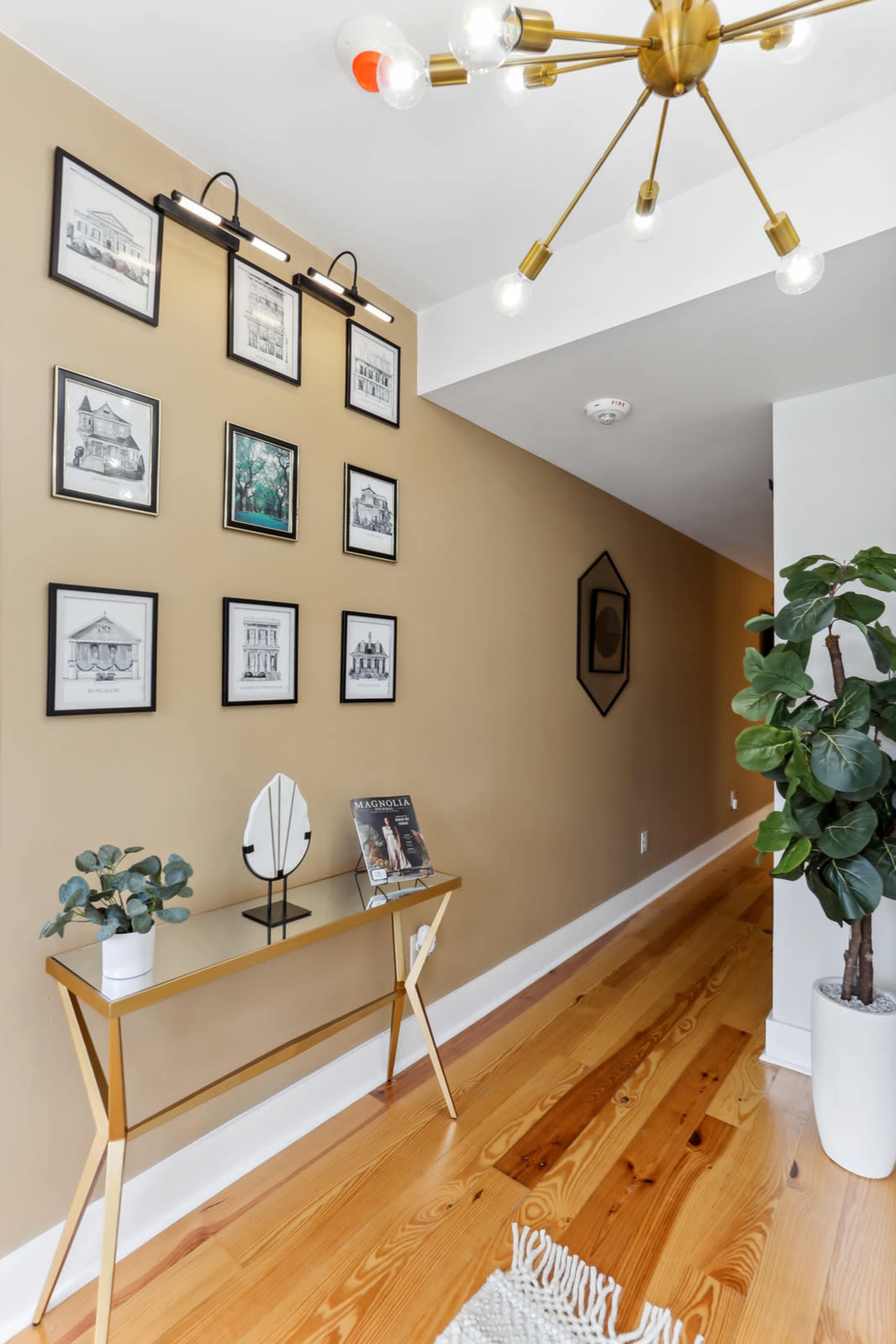 A narrow hallway features a gallery wall of framed black and white images above a mirrored console table, with a potted plant next to it and a unique light fixture overhead.