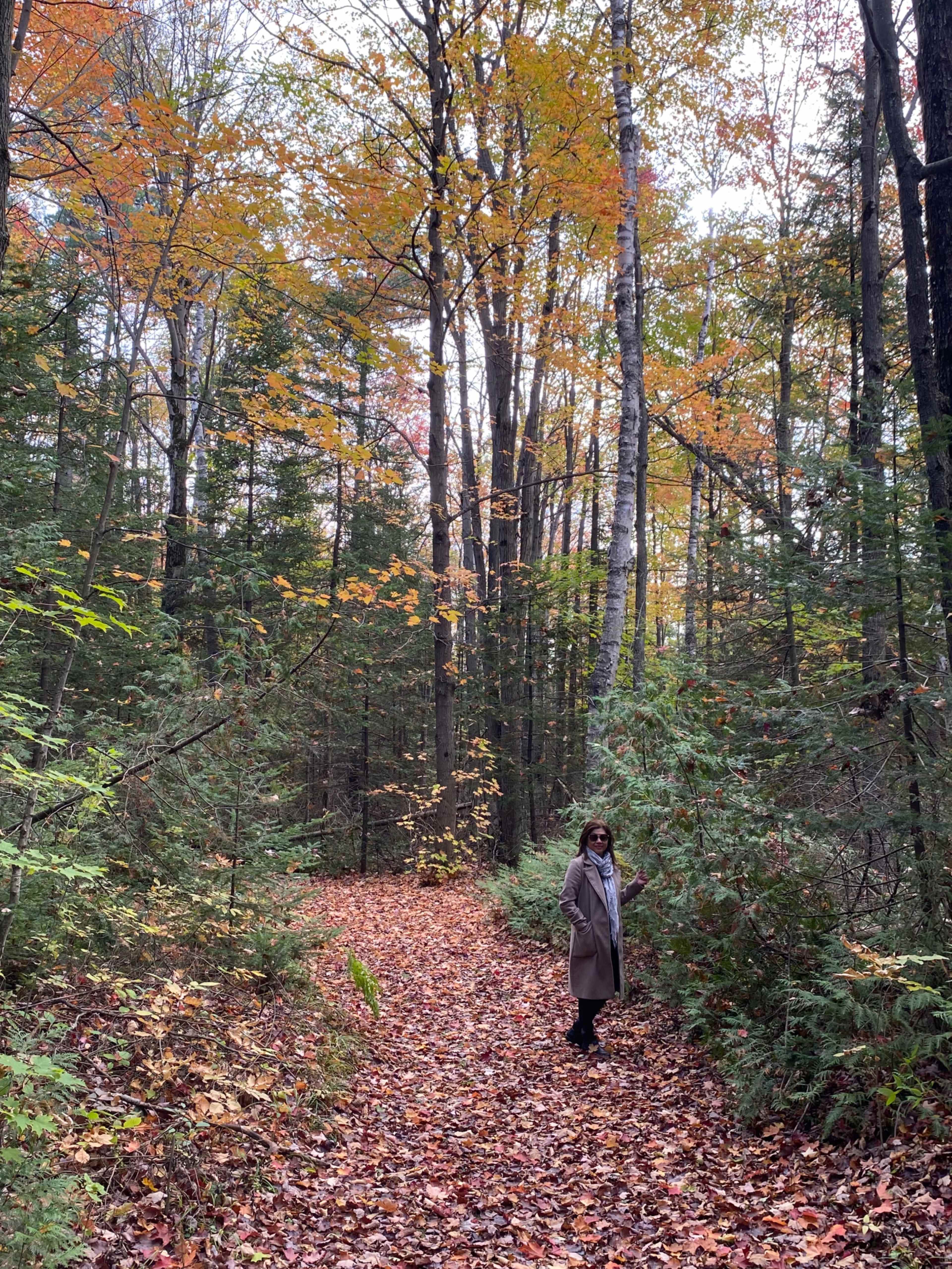 A person stands on a leaf-covered path in a forest with trees displaying autumn foliage.