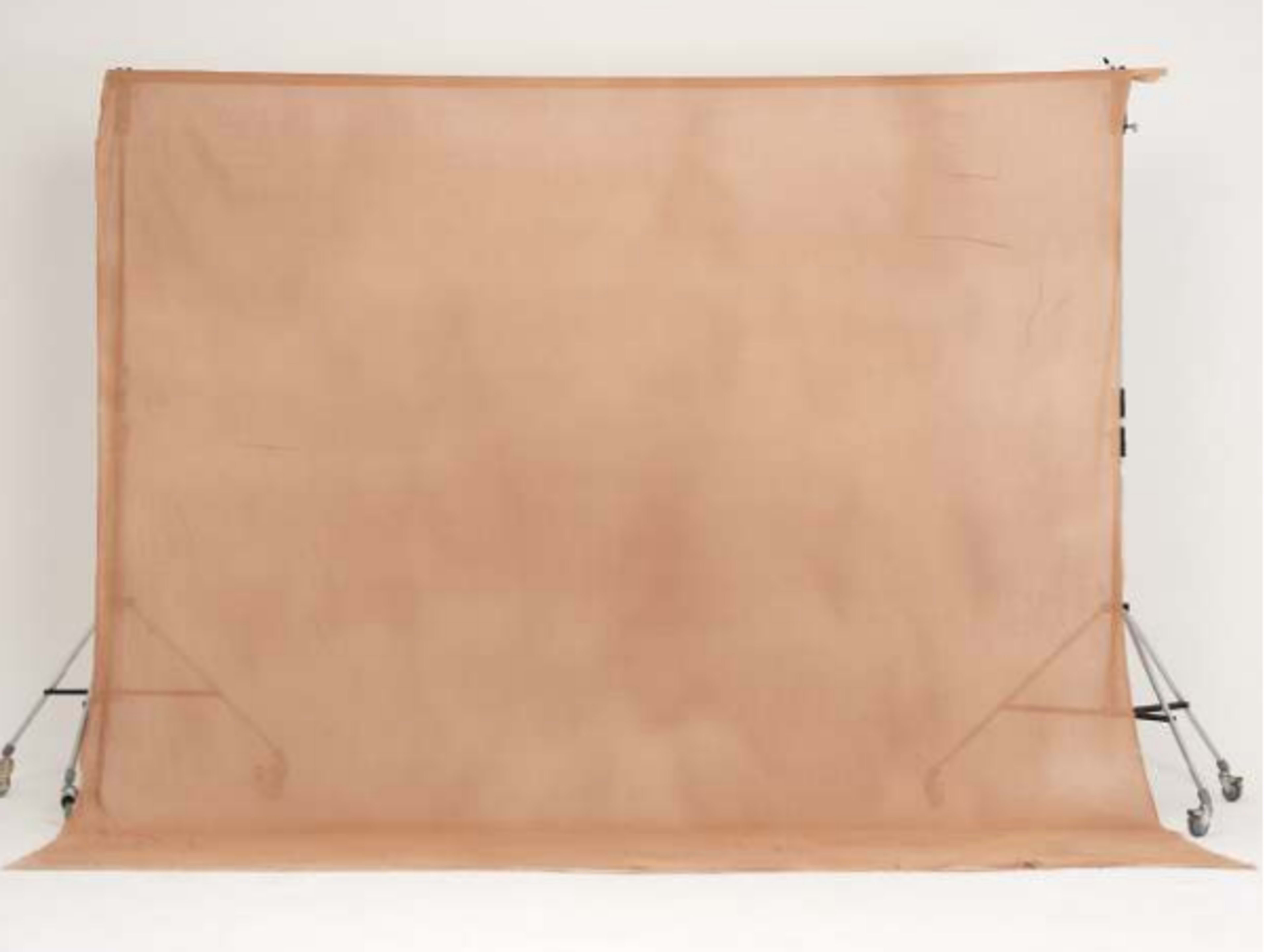 Fabric Backdrop: Latte