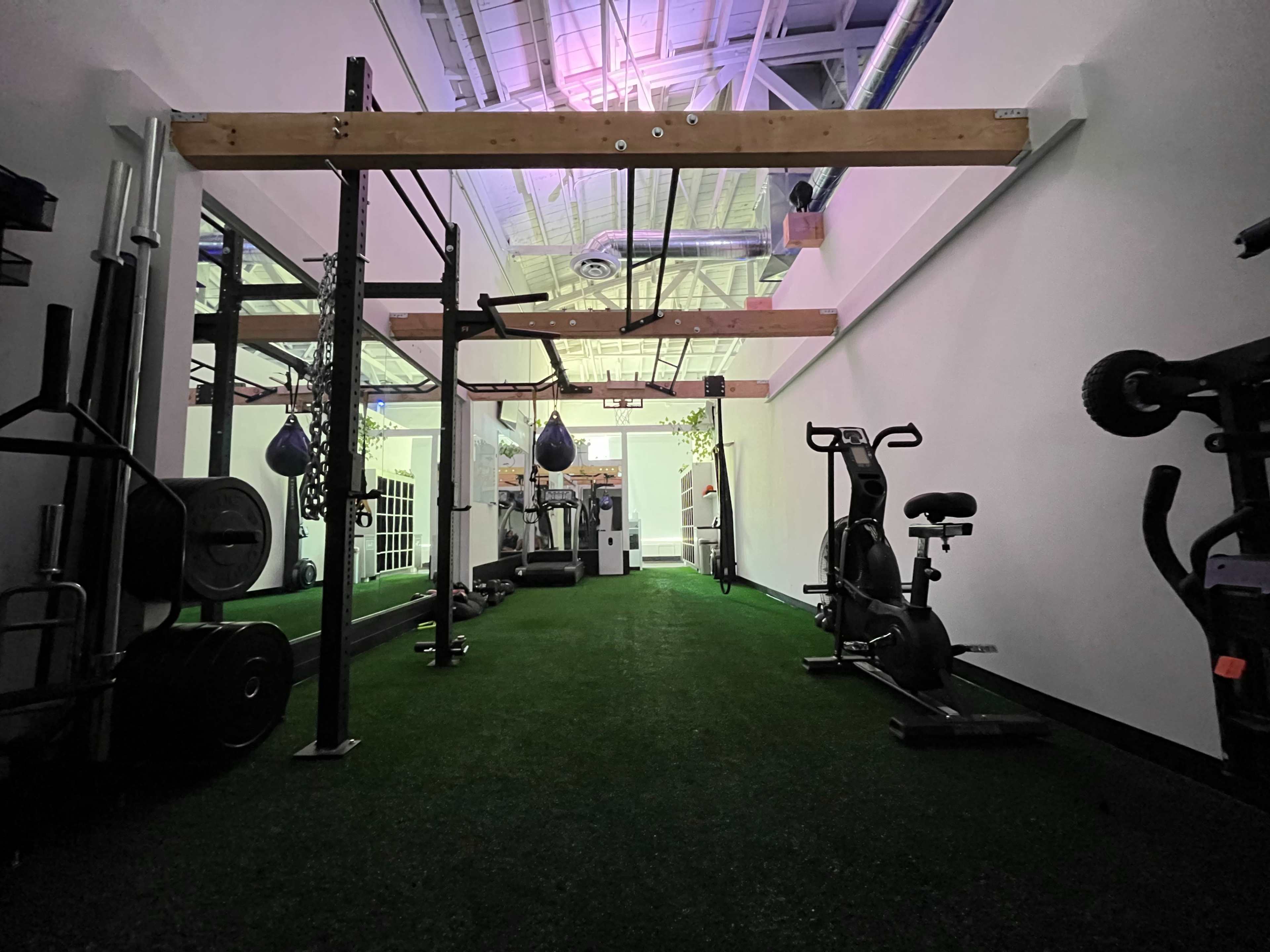 A gym interior featuring exercise equipment, a punching bag, and green turf flooring under a high ceiling.