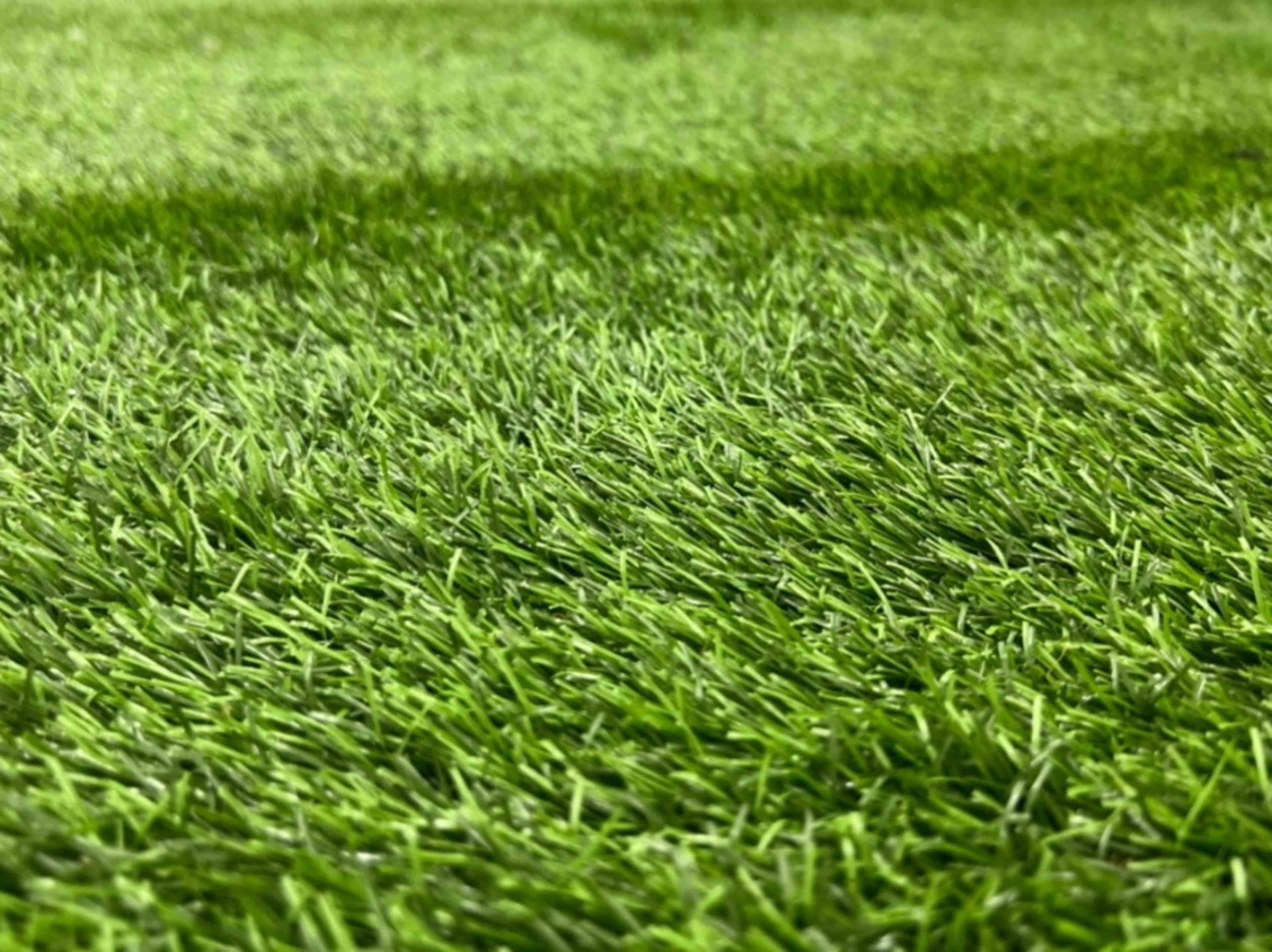 Large Turf