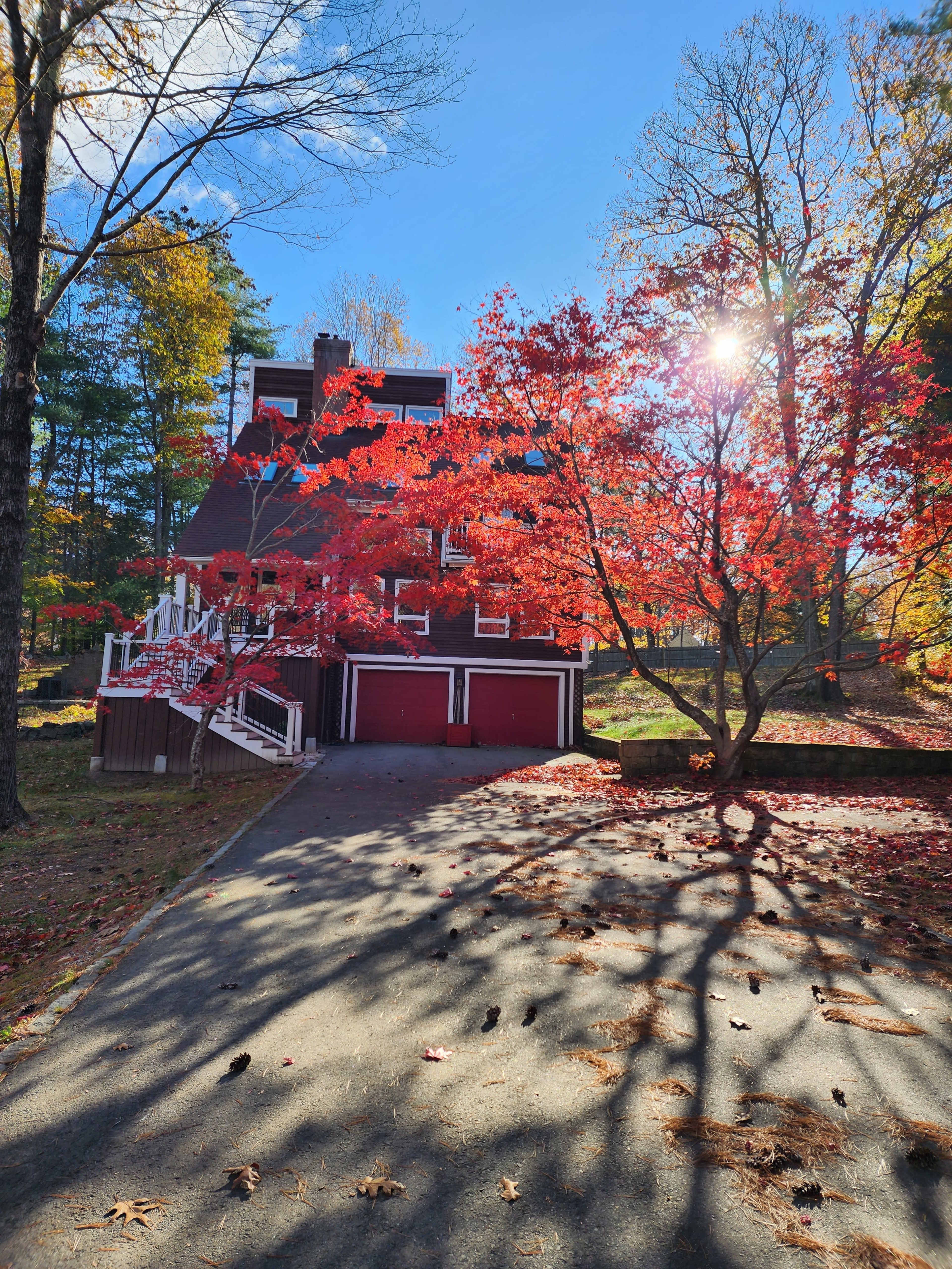 A red house with a sloped roof is situated along a driveway surrounded by autumn foliage, including vibrant red trees.