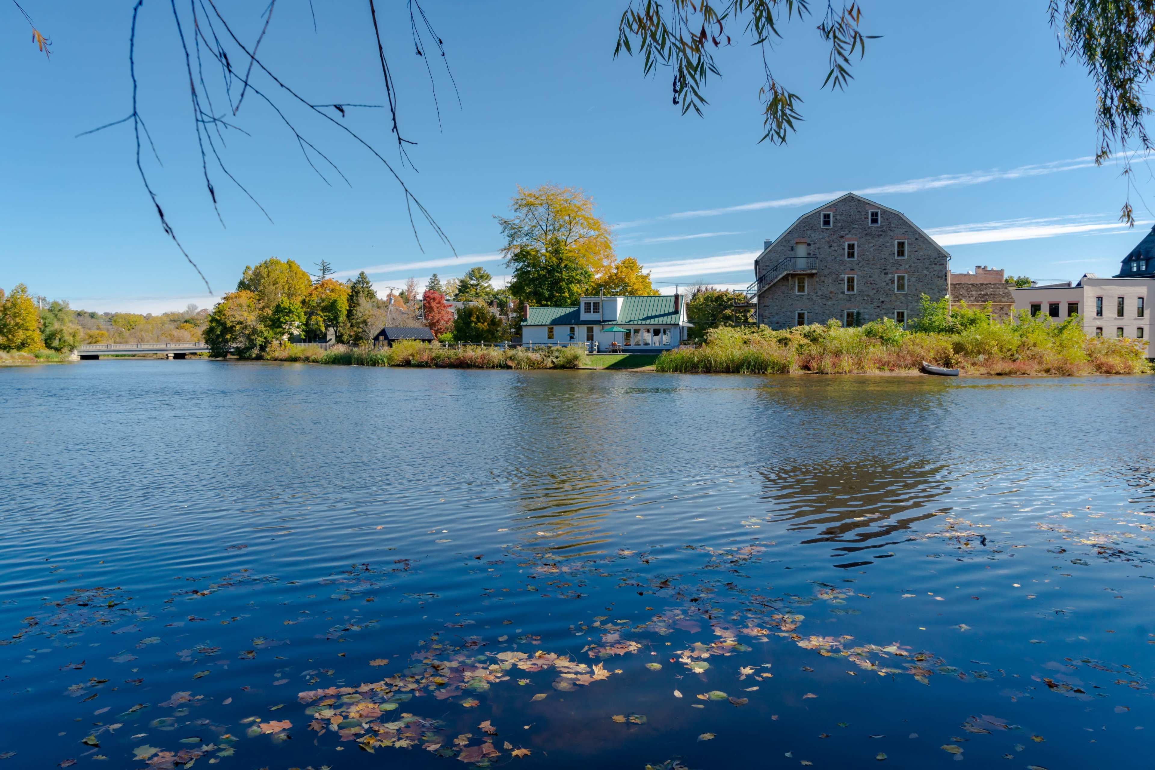 A calm river bordered by trees and buildings, reflecting the clear blue sky and scattered autumn leaves on the water's surface.