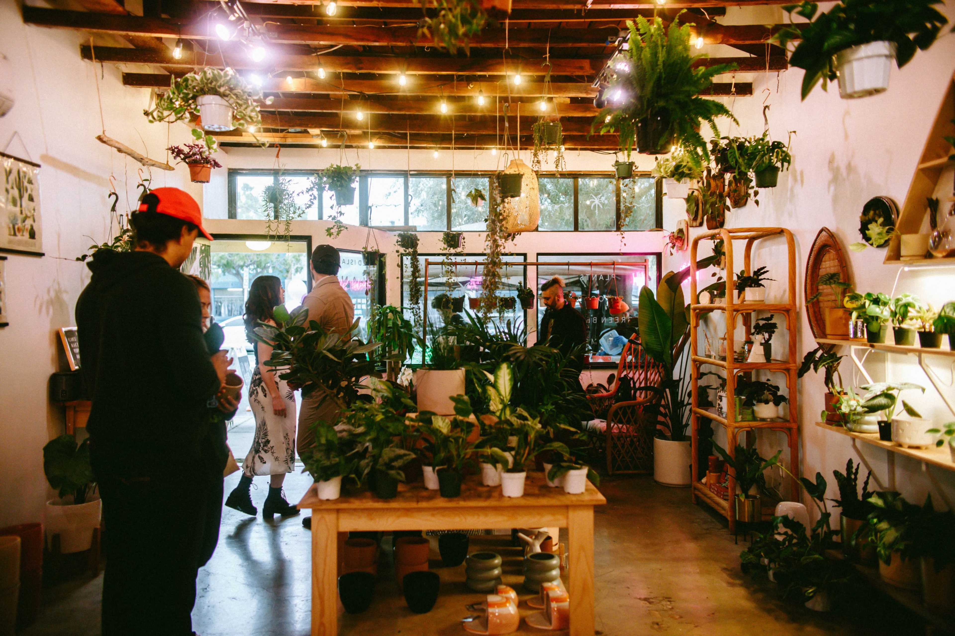 A vibrant plant shop features various indoor plants, hanging greenery, and customers browsing among shelves and display tables.
