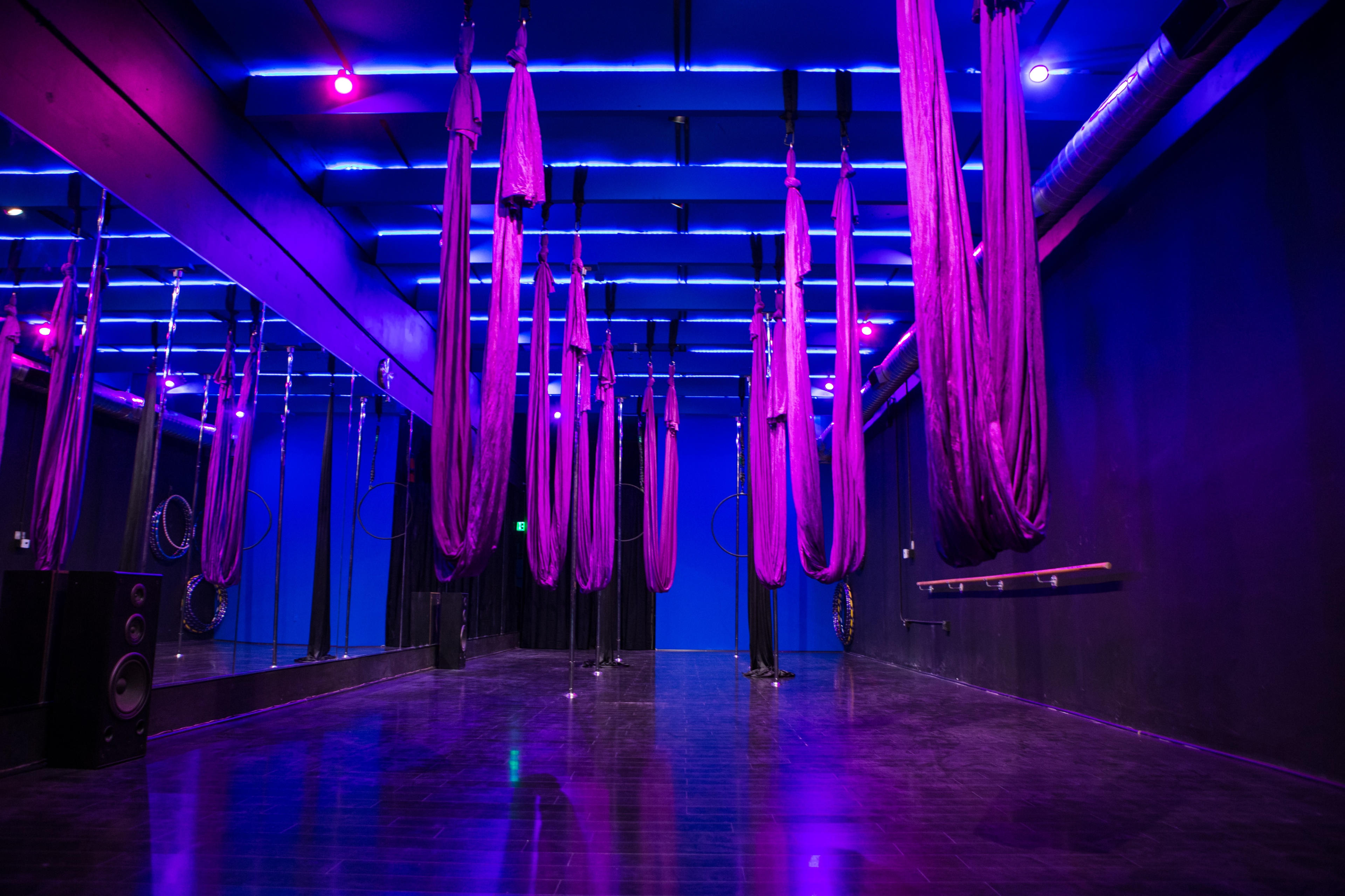 A modern studio with purple and blue lighting, featuring suspended fabric hammocks and a polished floor.
