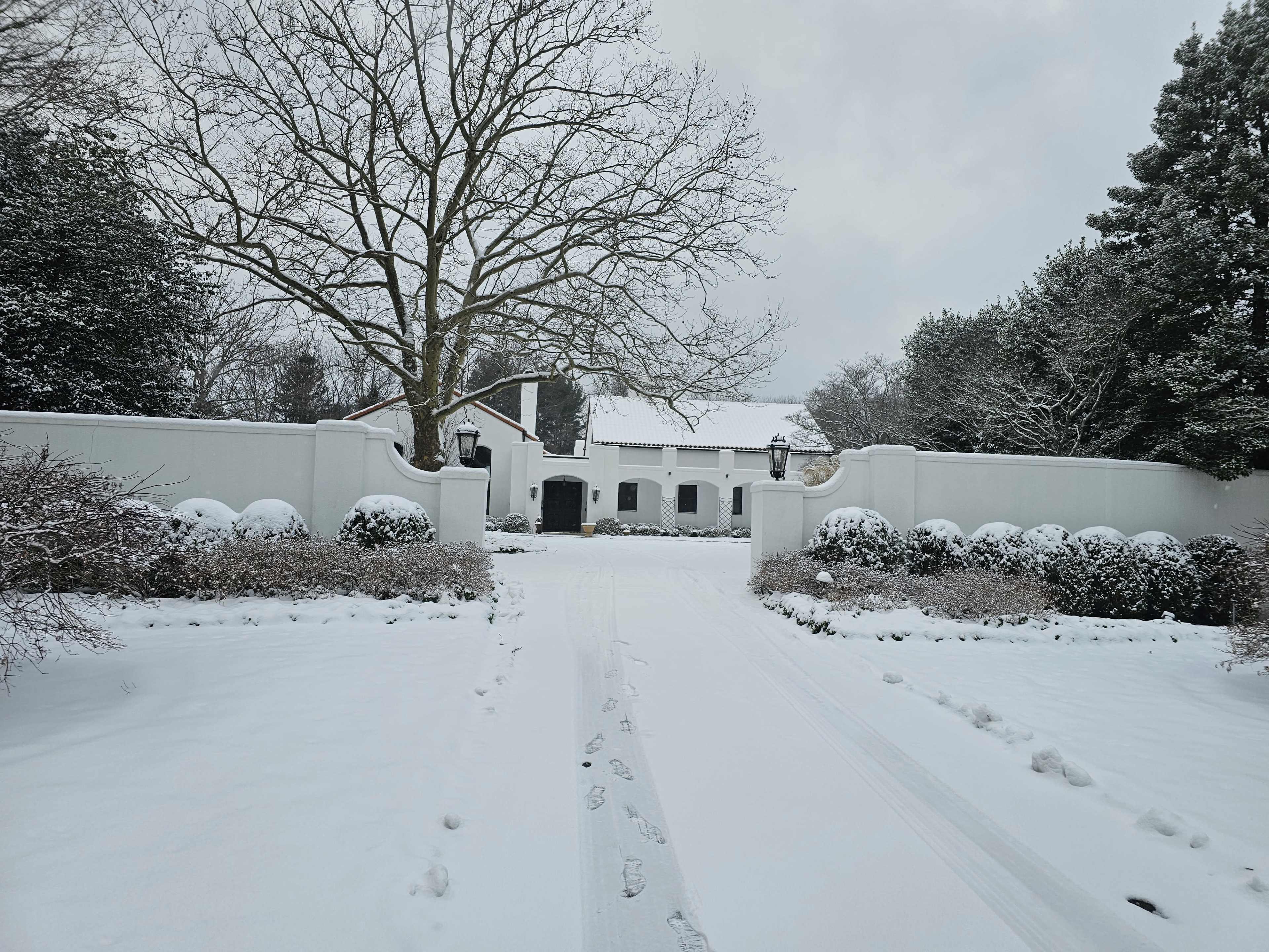 A snow-covered driveway leads to a white-walled house surrounded by trees and neatly trimmed bushes.