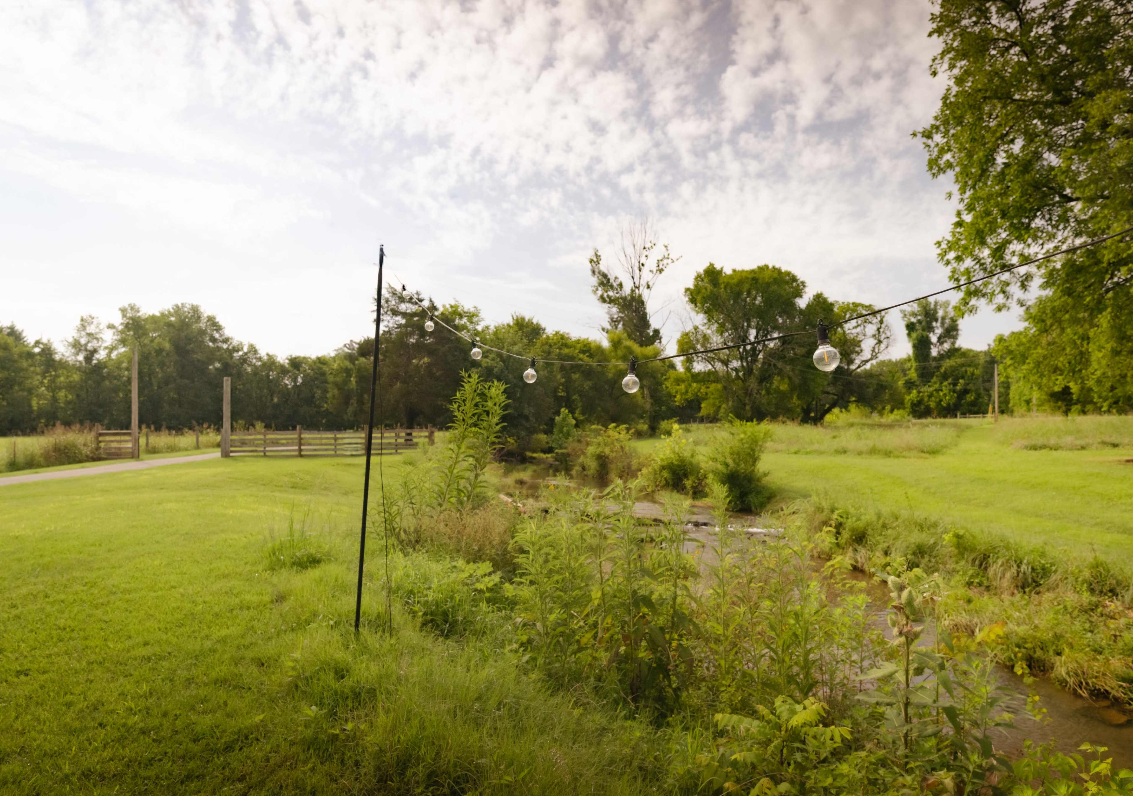 A pathway lined with trees runs alongside a grassy area and a small stream, with decorative lights hanging from a wire.