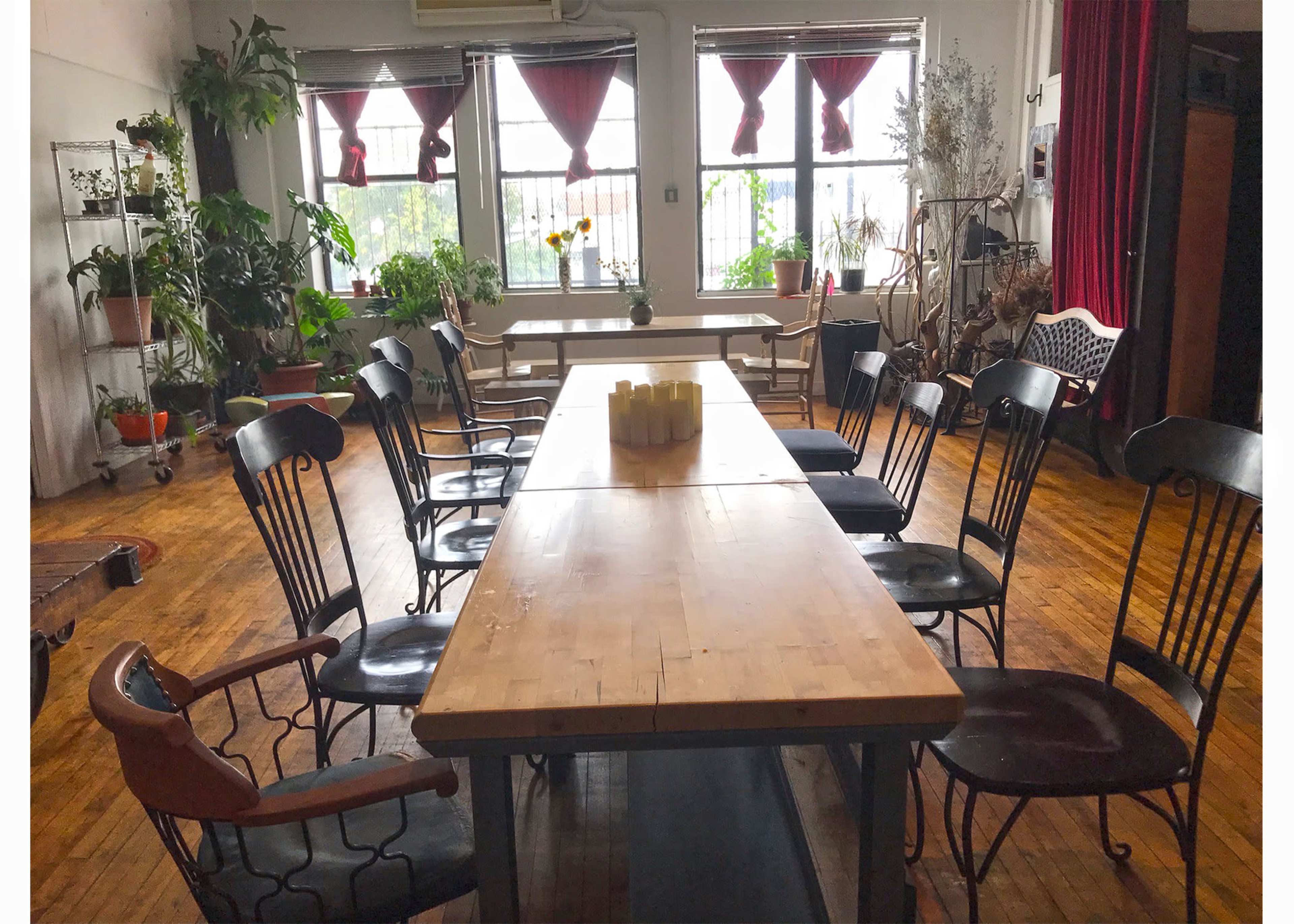 A long wooden table surrounded by various black chairs is set up in a well-lit room filled with plants and natural light.