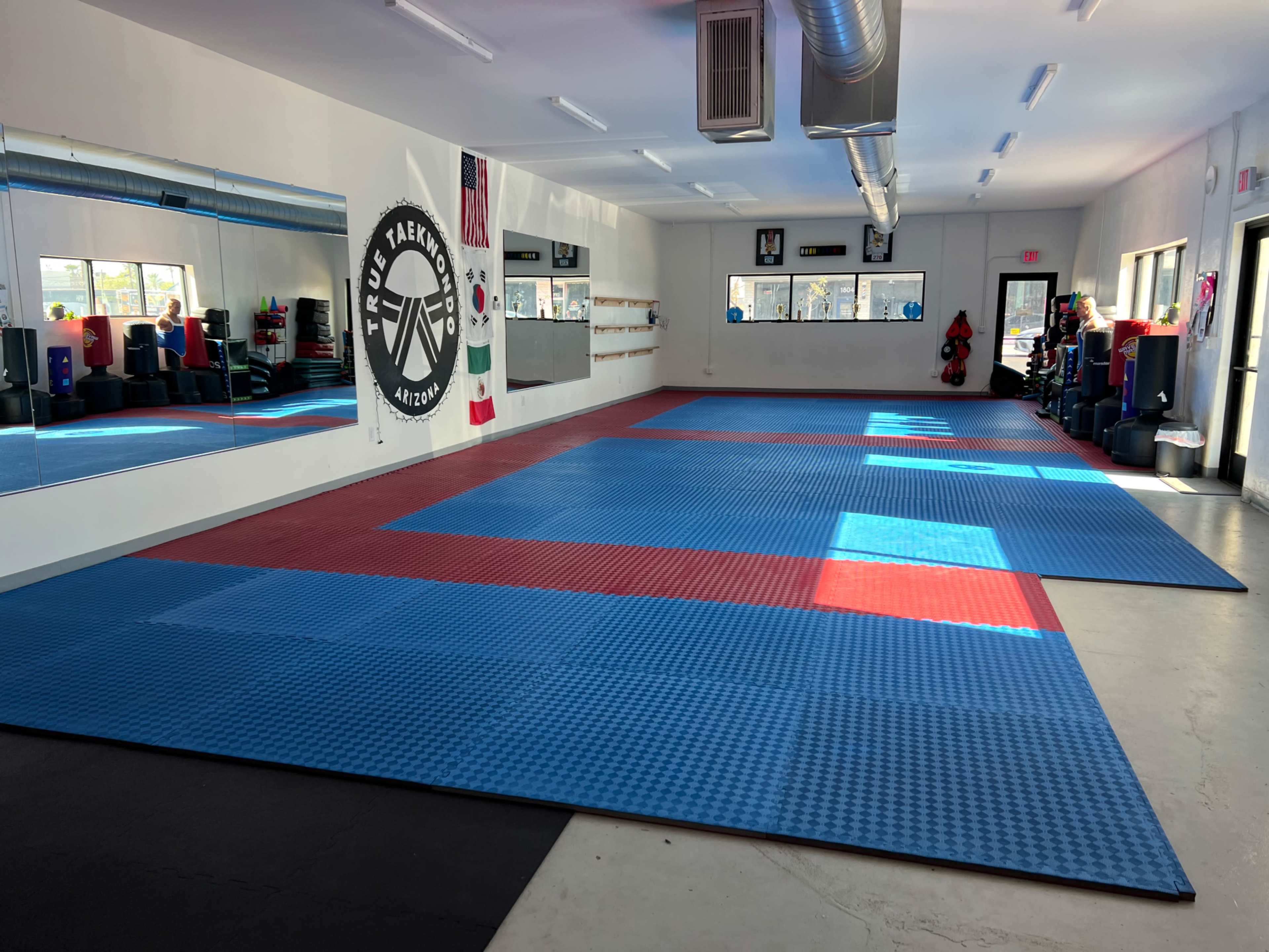 The image shows a spacious martial arts studio with blue and red mats, mirrors on one wall, and various training equipment arranged around the room.