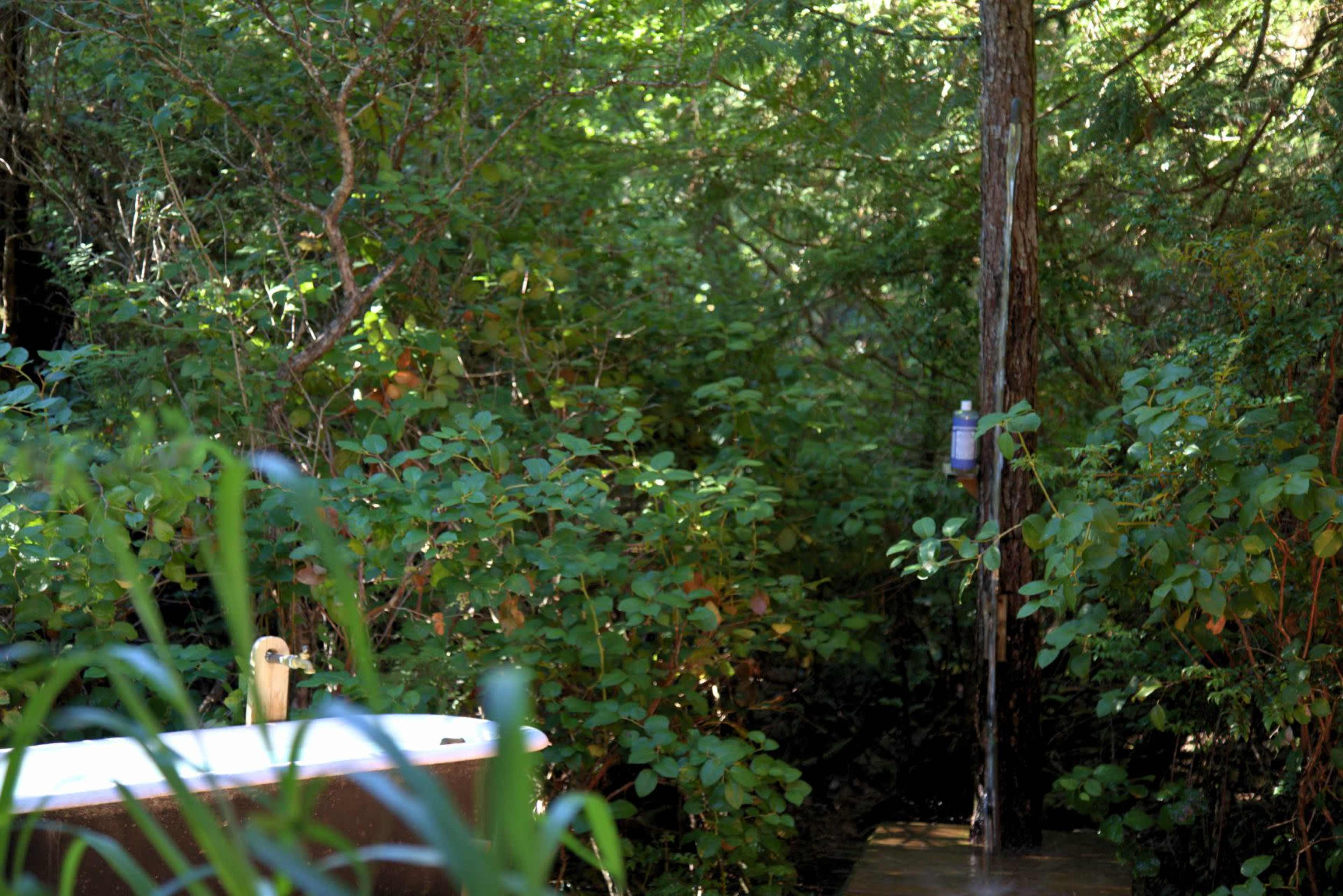 A wooden bathtub is partially visible among dense greenery and trees near a stream.