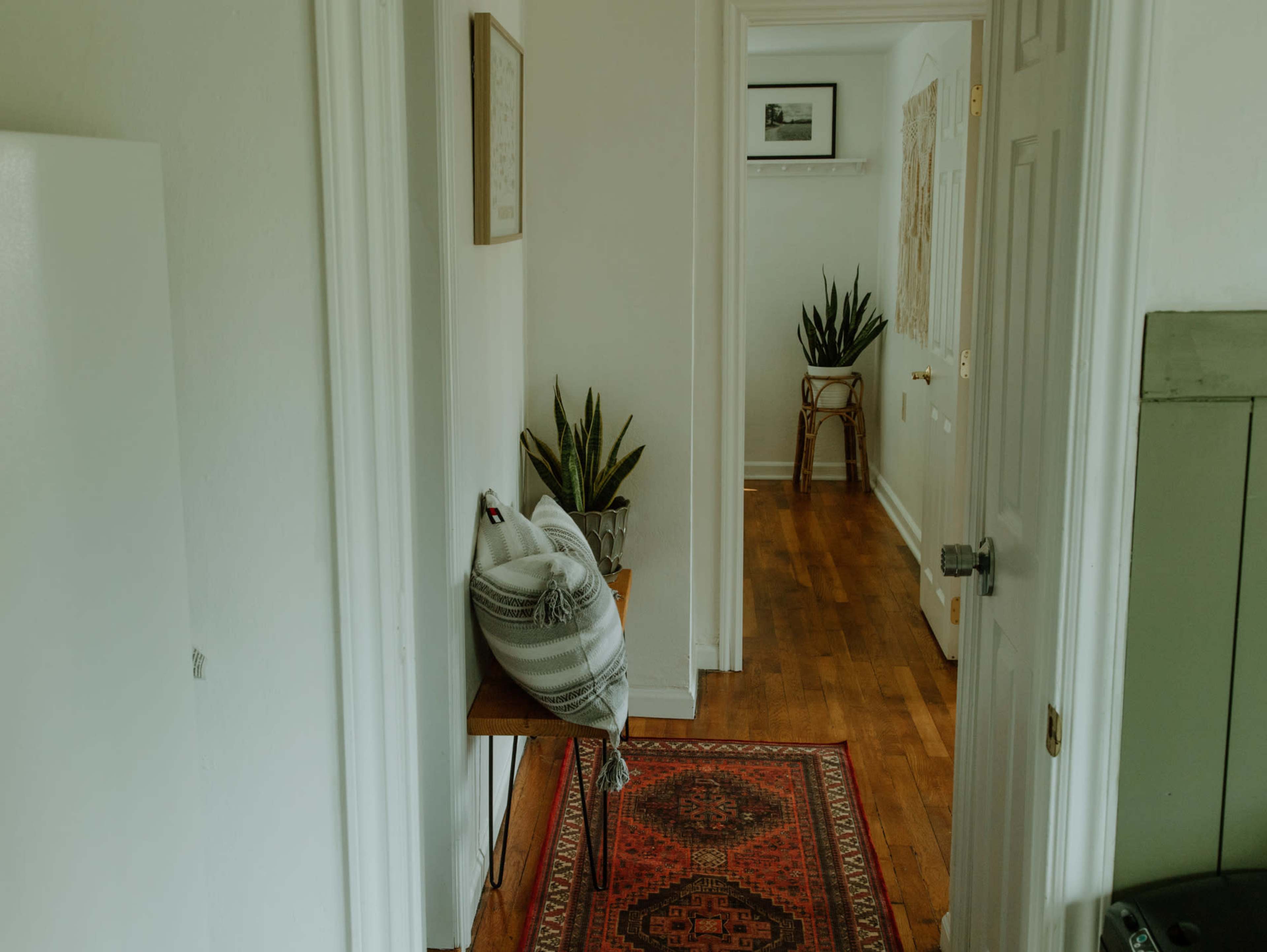 A narrow hallway features wooden flooring, a patterned rug, and potted plants against the walls.
