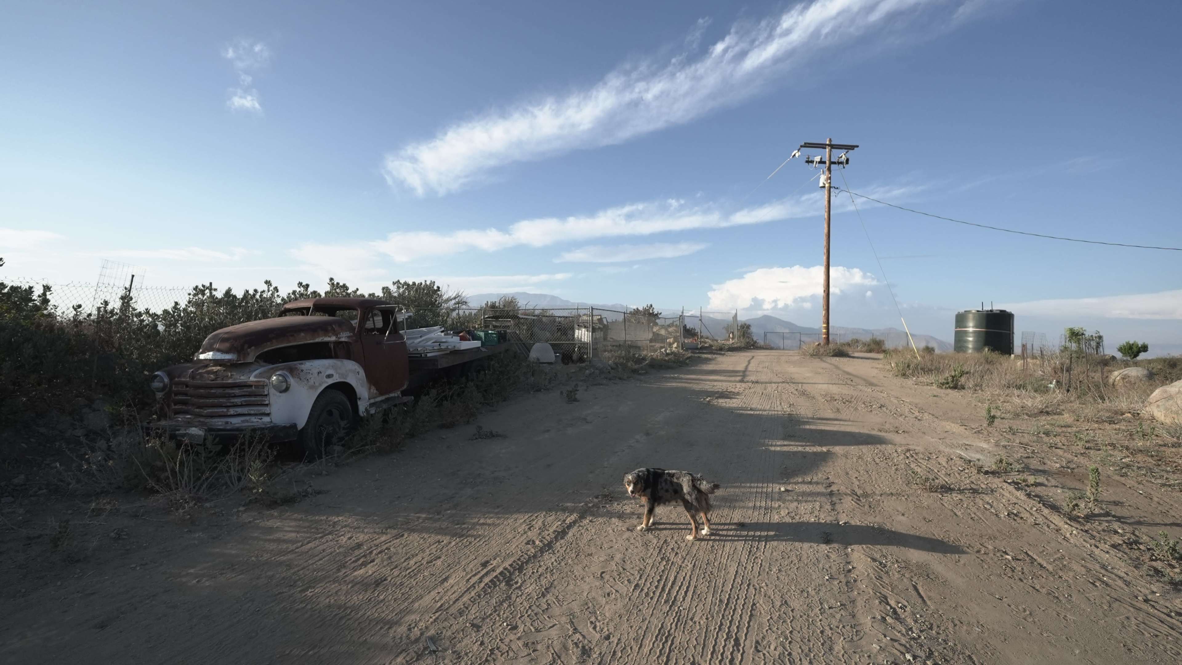 A small dog stands on a dirt road next to an old, rusting pickup truck, with power lines and distant mountains in the background.