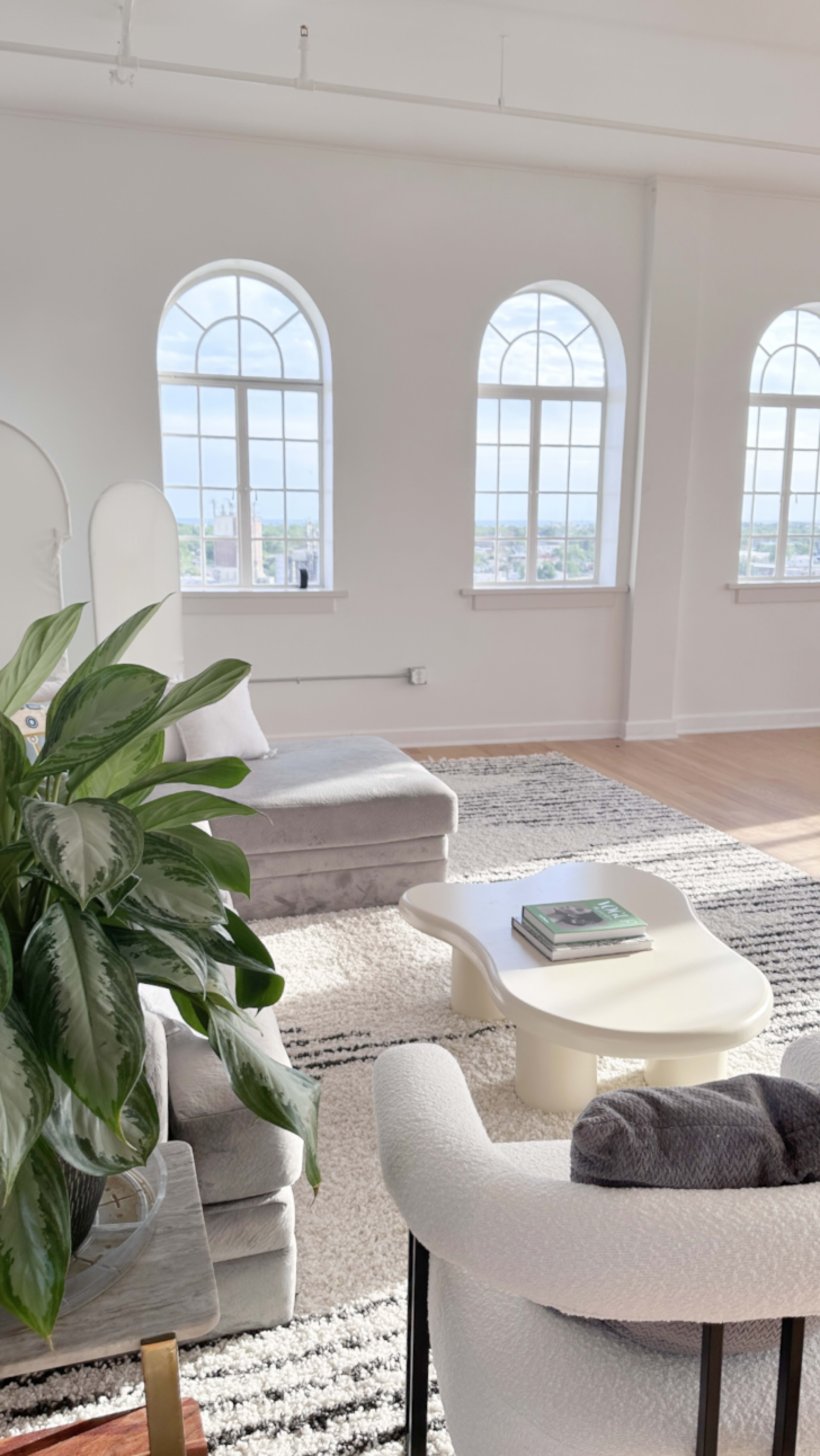 The image shows a bright, modern living room with large windows, a plant, and contemporary furniture arranged on a patterned rug.