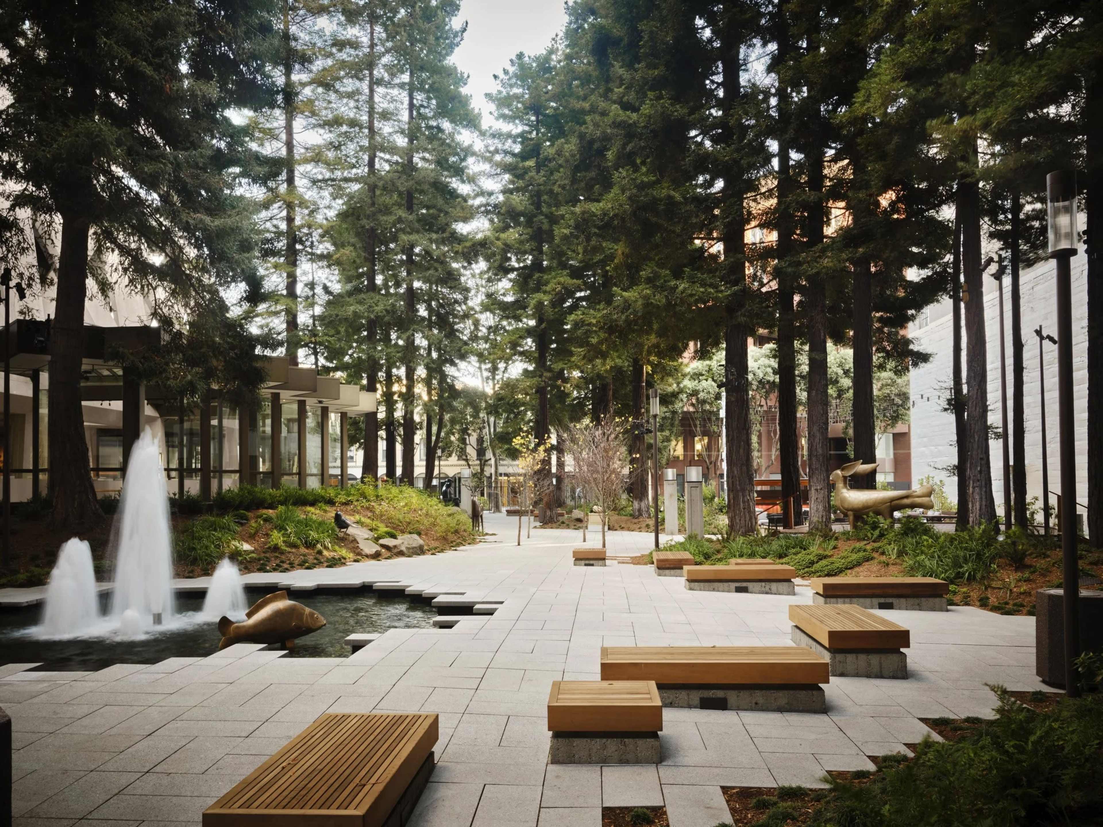 The image shows a serene outdoor space with a water fountain, wooden benches, and tall trees surrounding a tranquil pond.