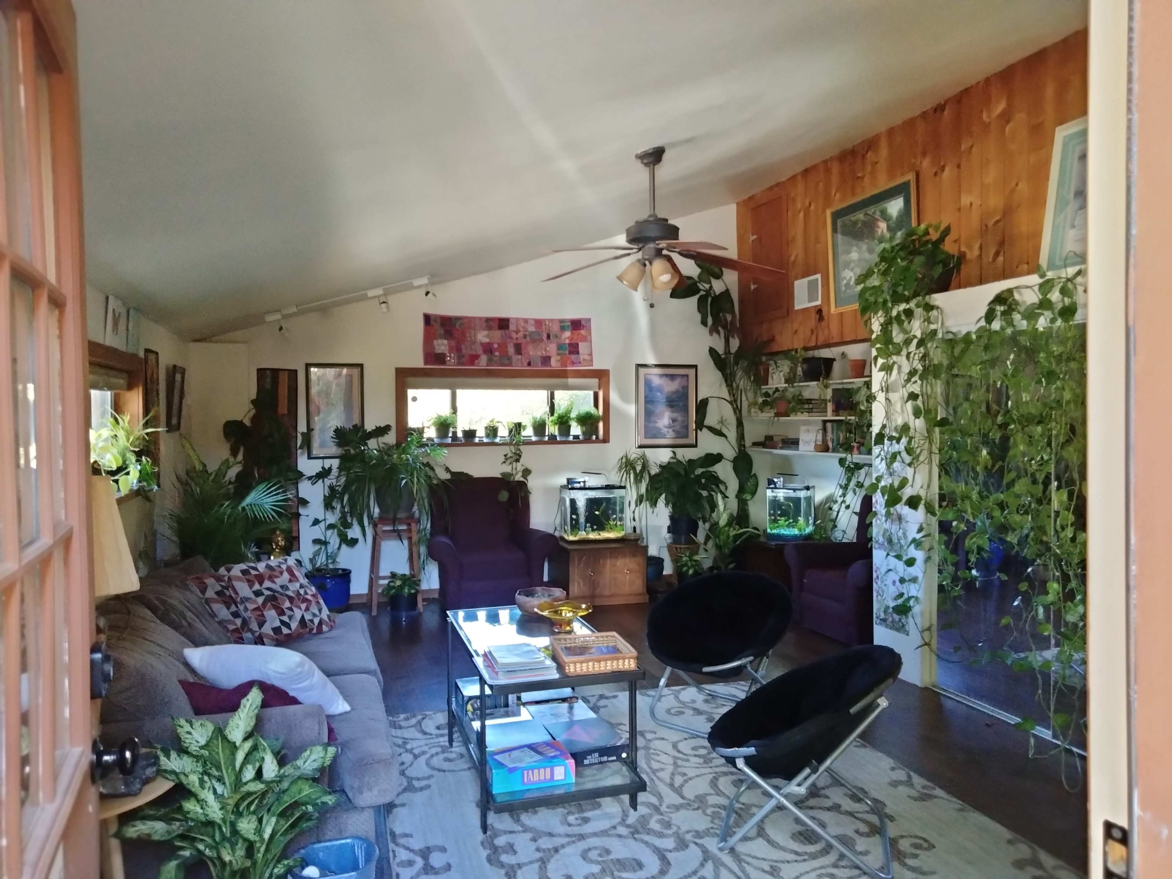 A bright living room features a mix of indoor plants, two purple armchairs, a coffee table, and fish tanks along the walls.
