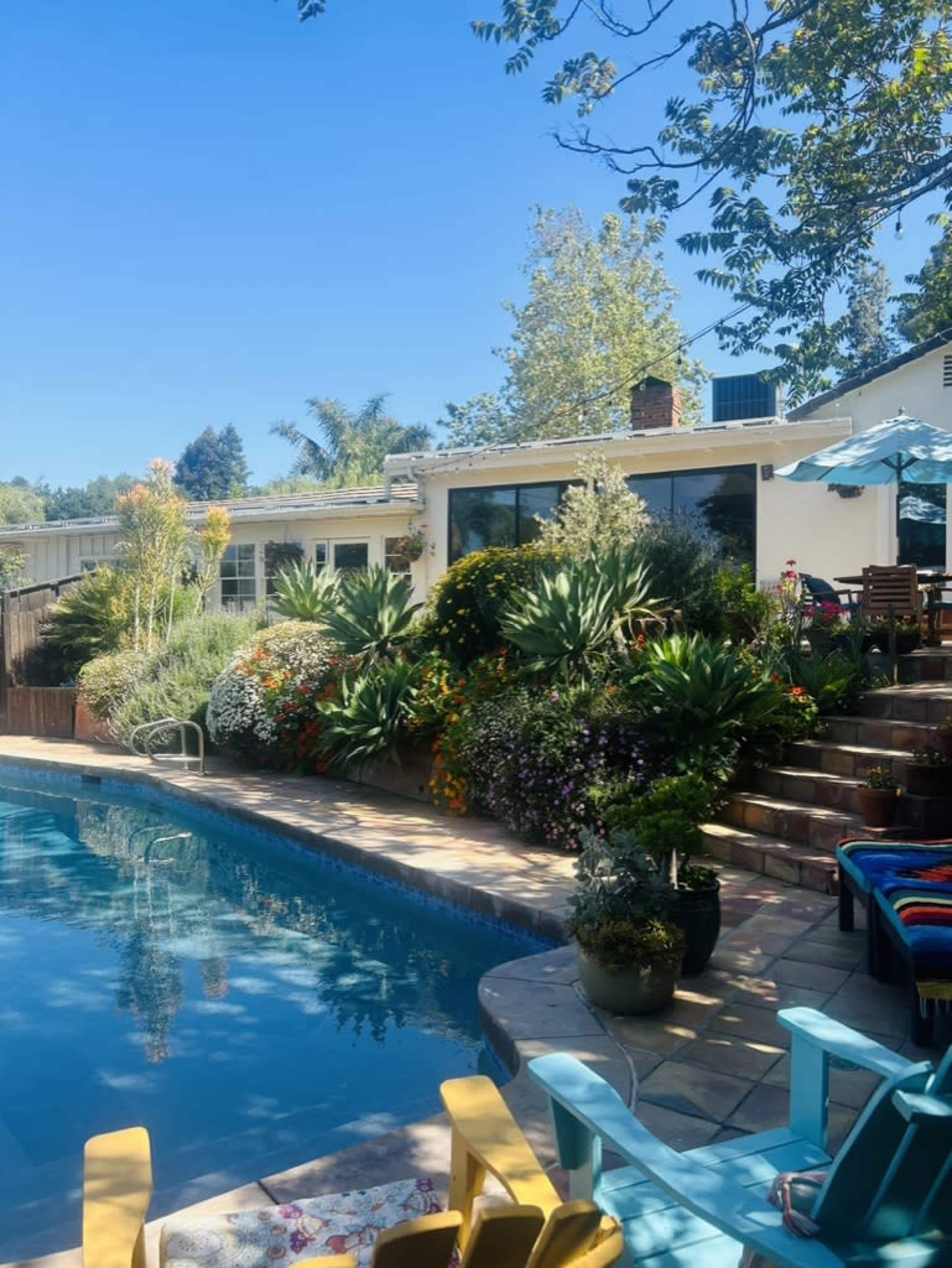 A clear swimming pool reflects the blue sky, surrounded by landscaped gardens and a house in the background.