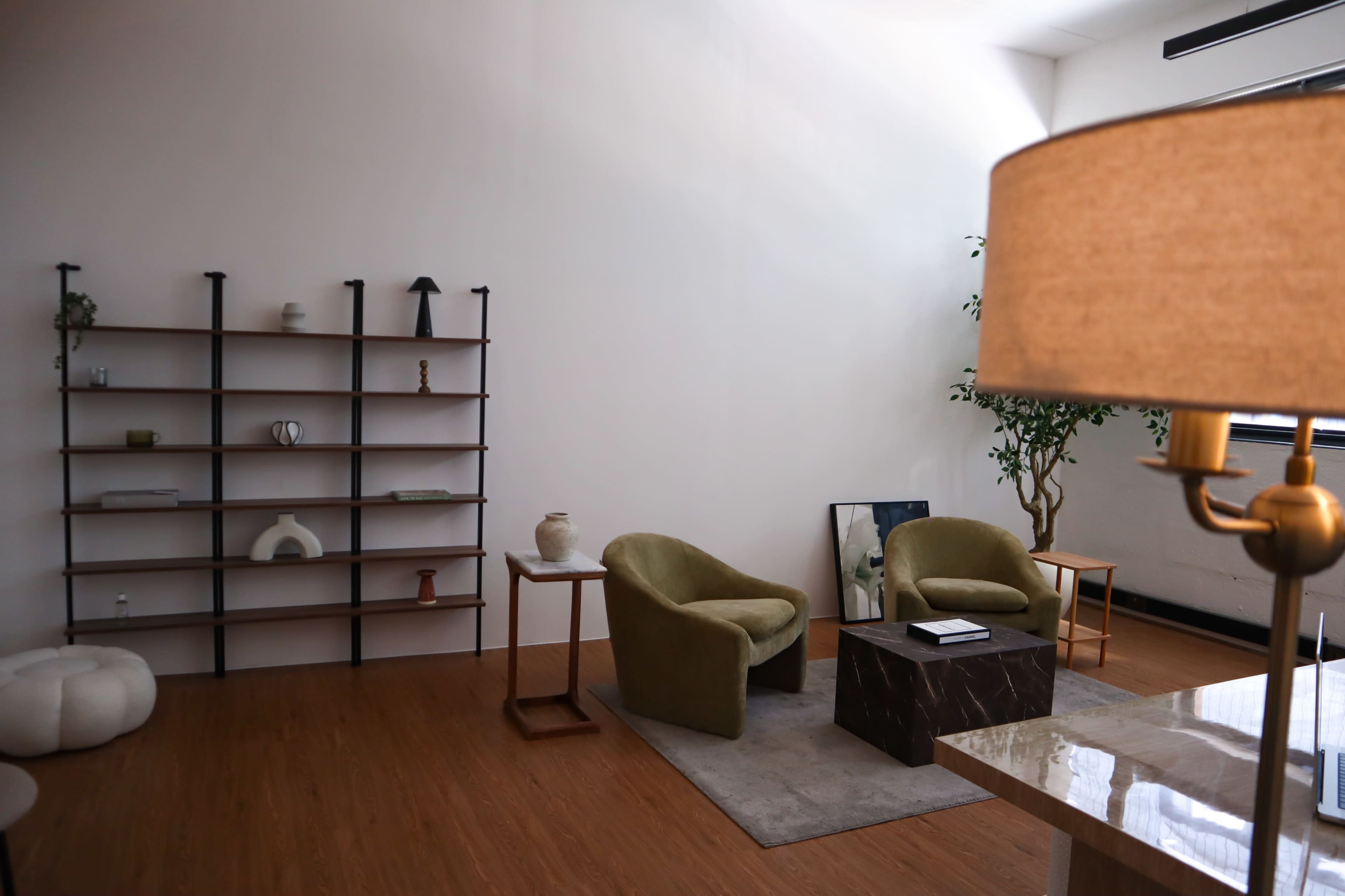 The image shows a modern living room with two green armchairs, a coffee table, a bookshelf, and a decorative plant.