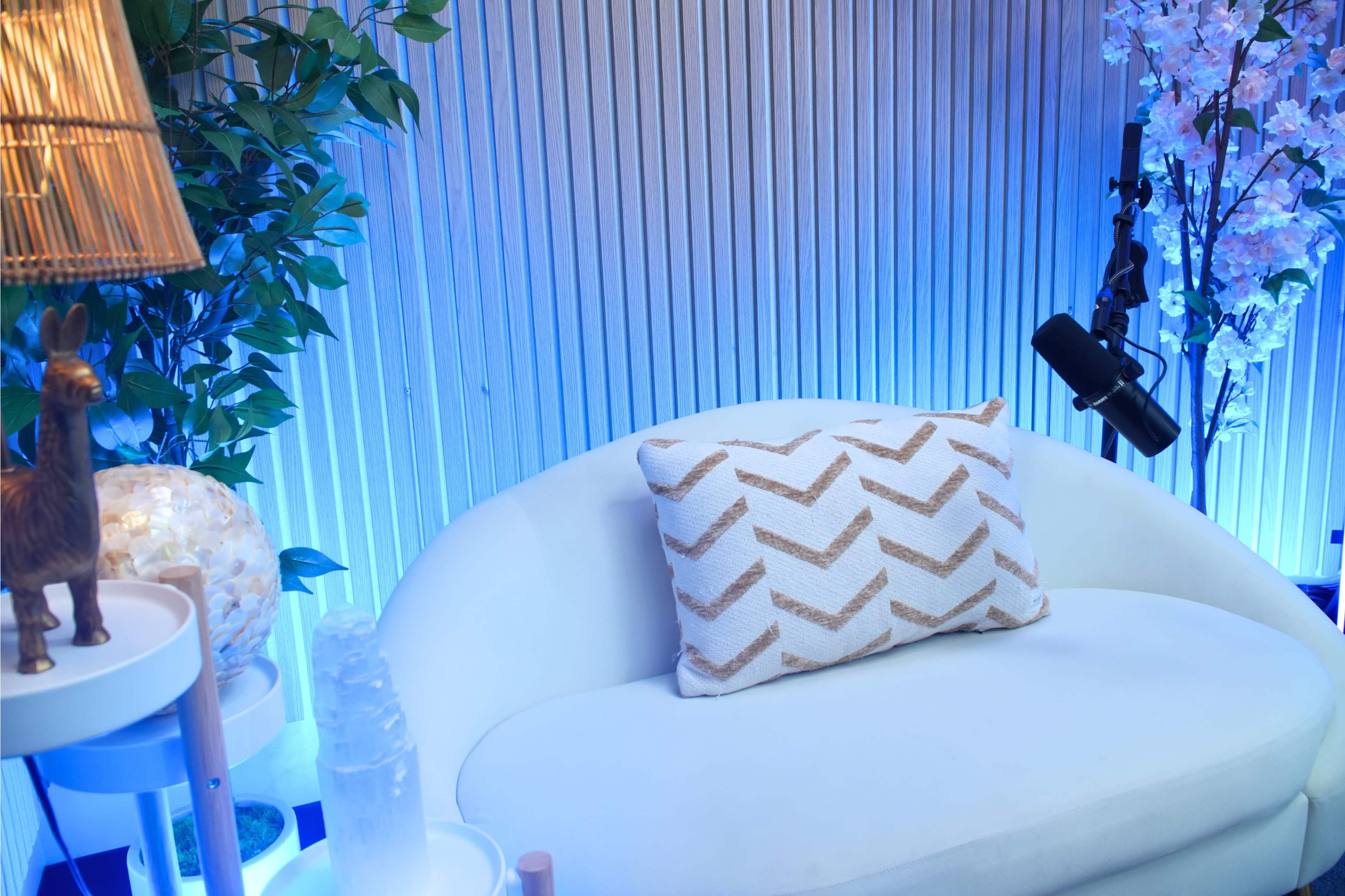 Zen-Inspired Podcast Studio with Customizable Lighting Image in Costa Mesa, Costa Mesa, CA