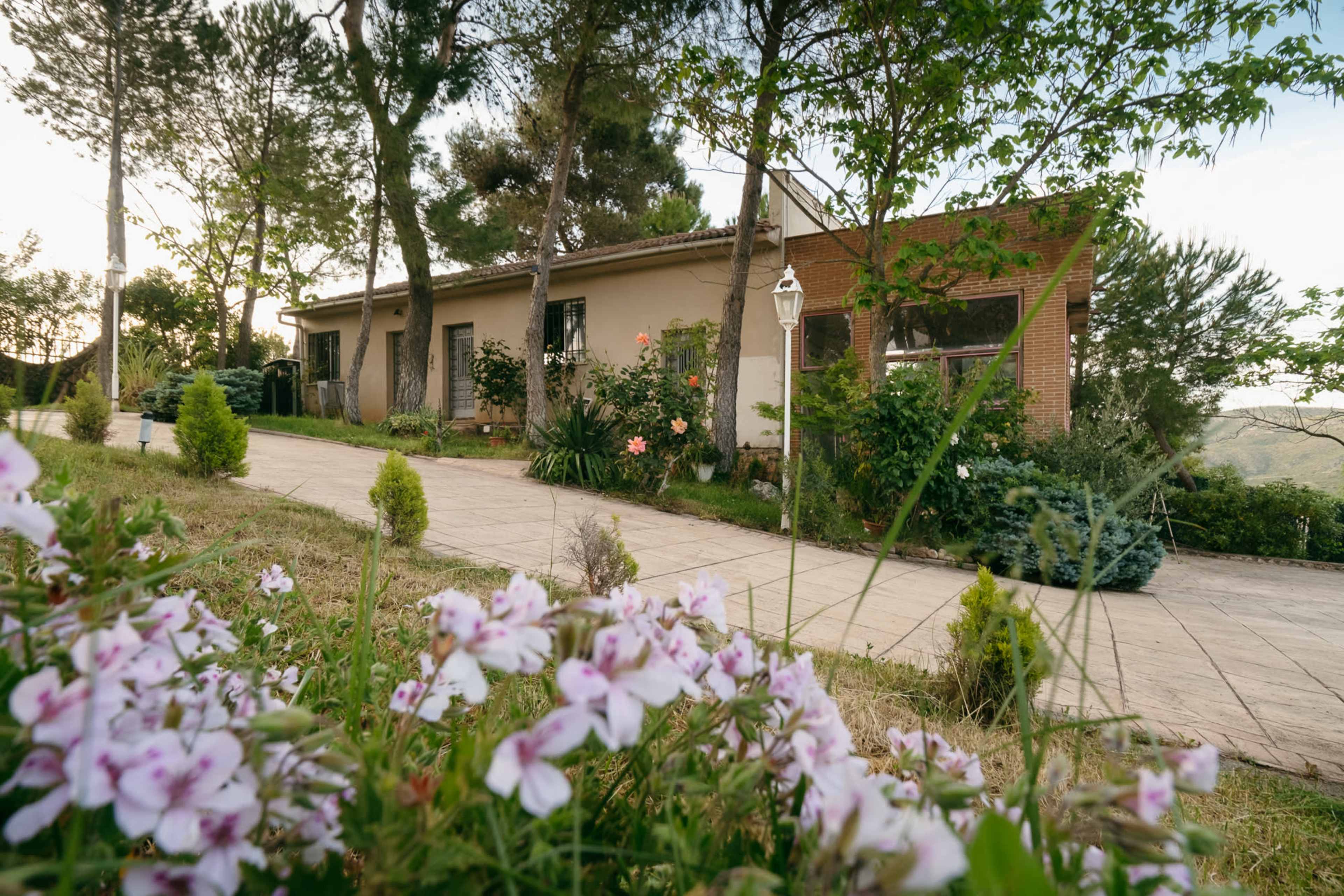 A single-story house is set back from a pathway, surrounded by trees and flowering plants.