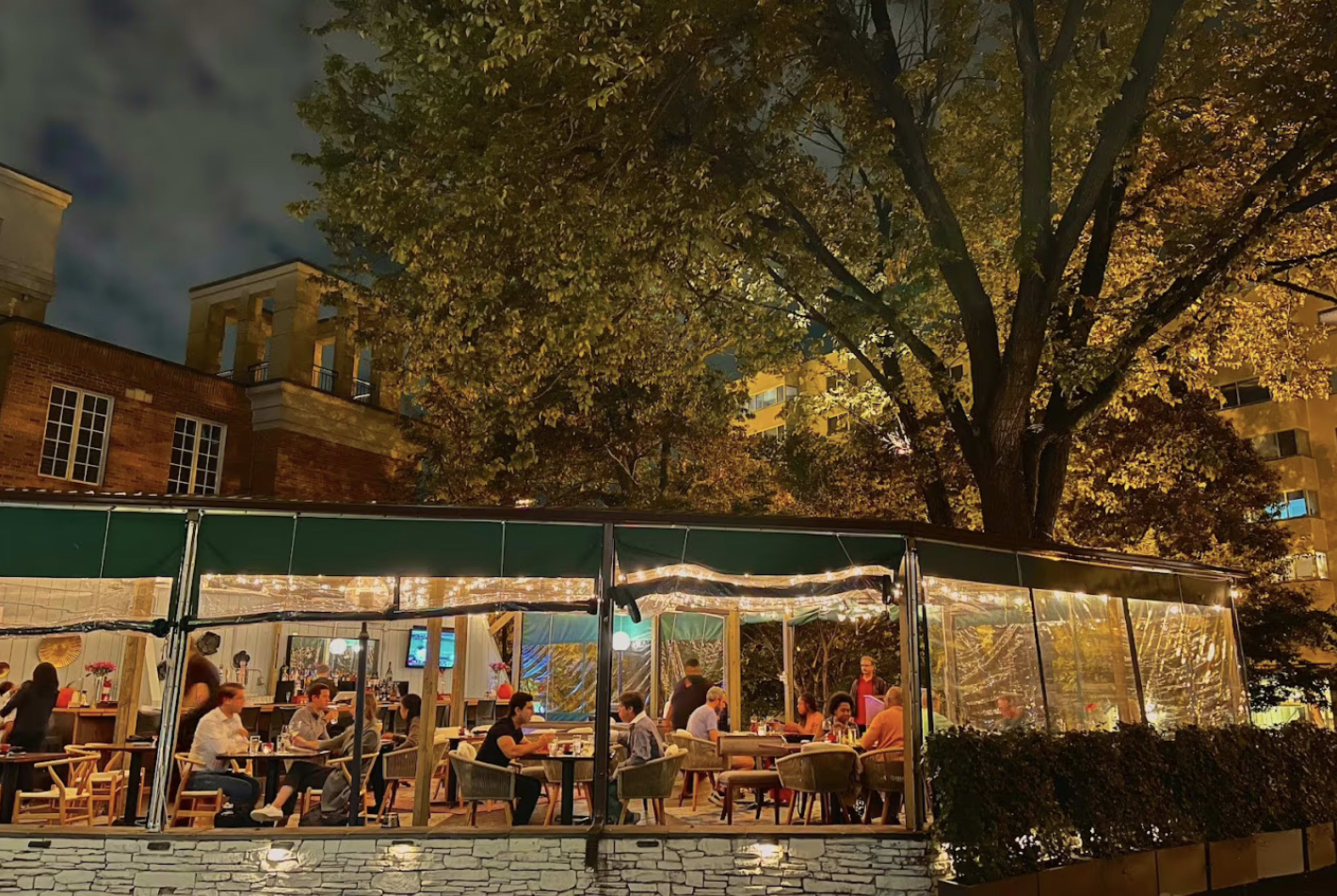 A bustling outdoor restaurant with patrons dining under string lights, surrounded by trees with autumn foliage.