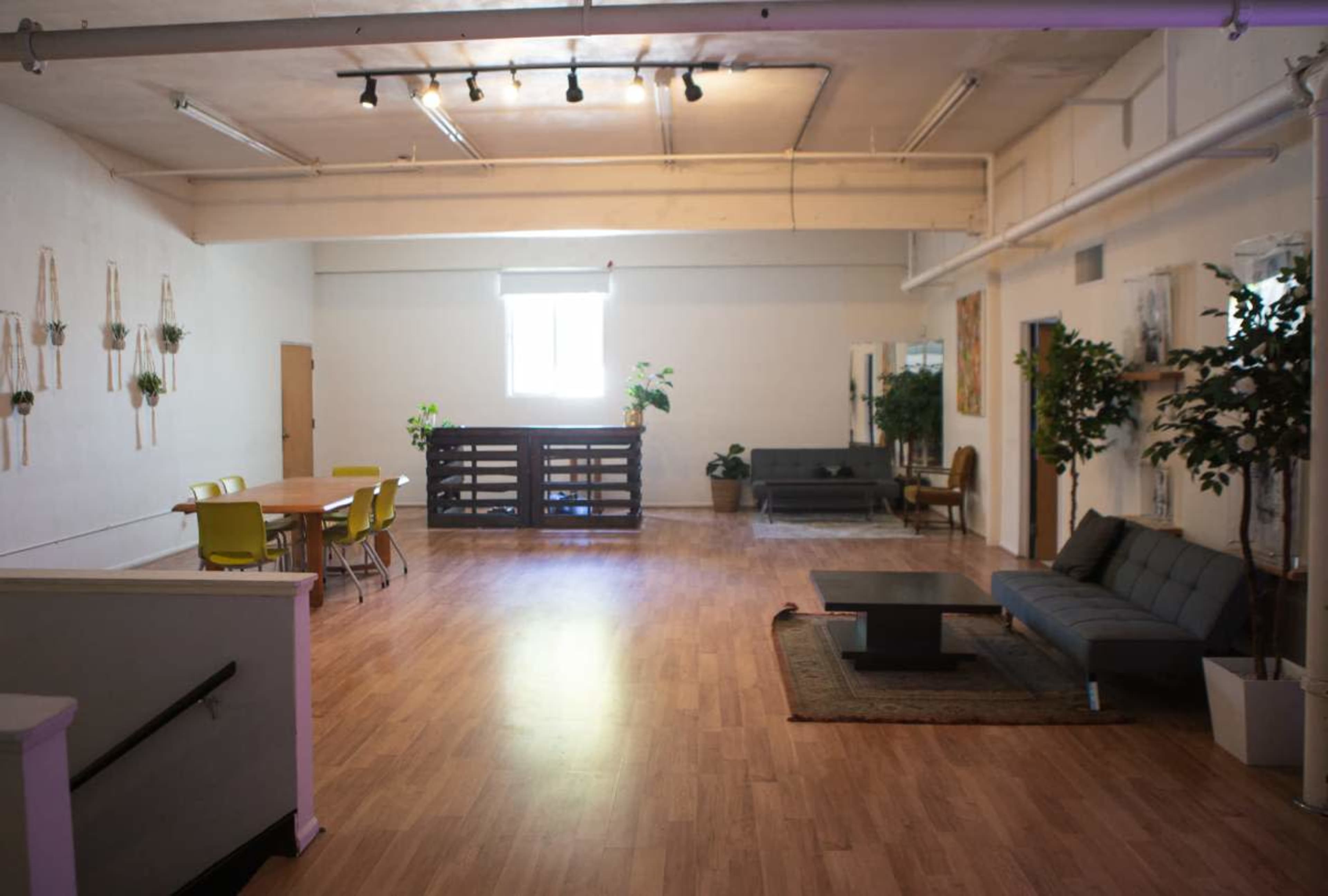 The spacious room features a dining area with yellow chairs, a lounge area with a gray sofa, and several plants arranged throughout the space.