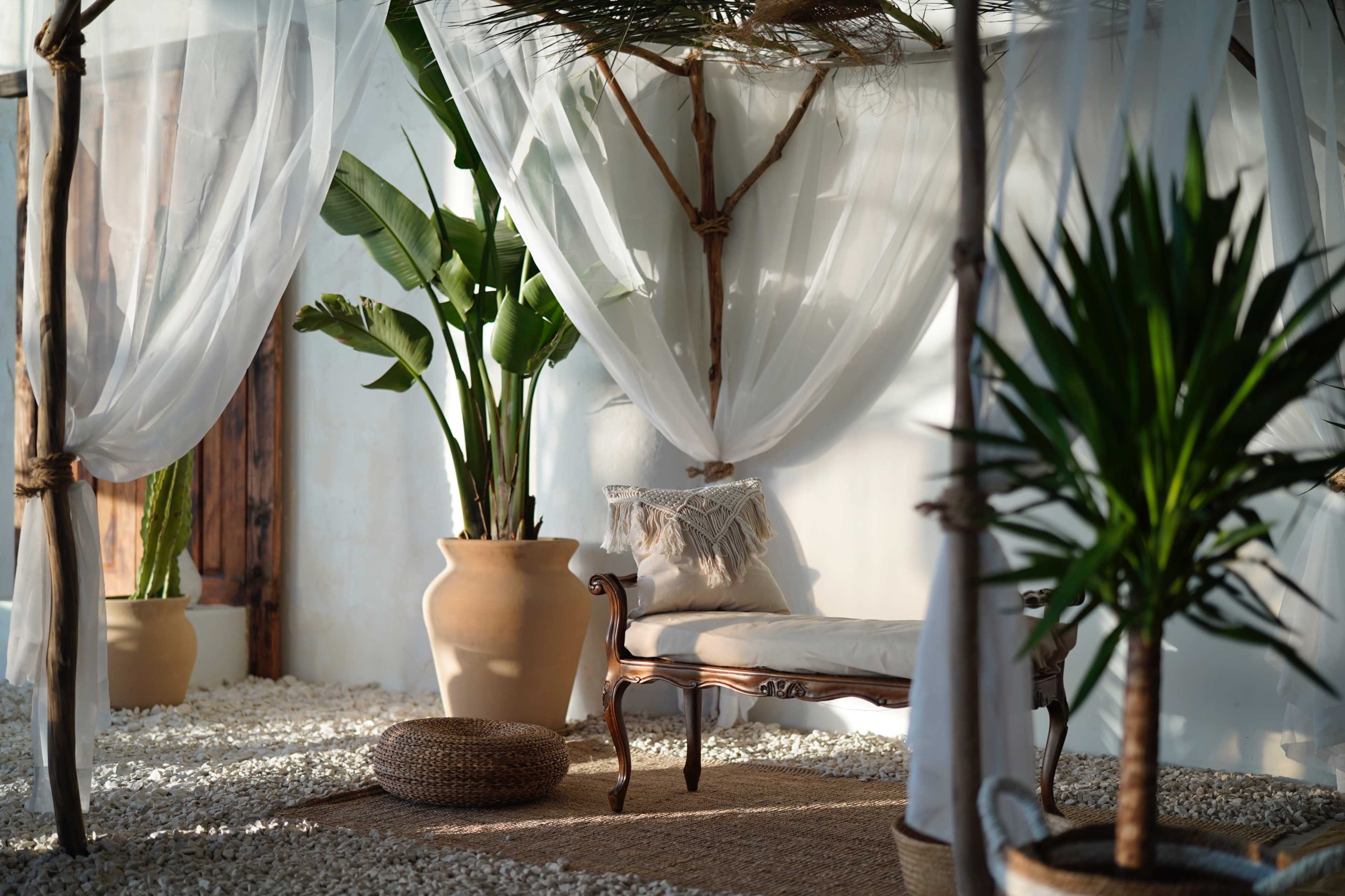 The image shows a minimalist indoor space featuring a chaise lounge surrounded by potted plants and sheer drapes.