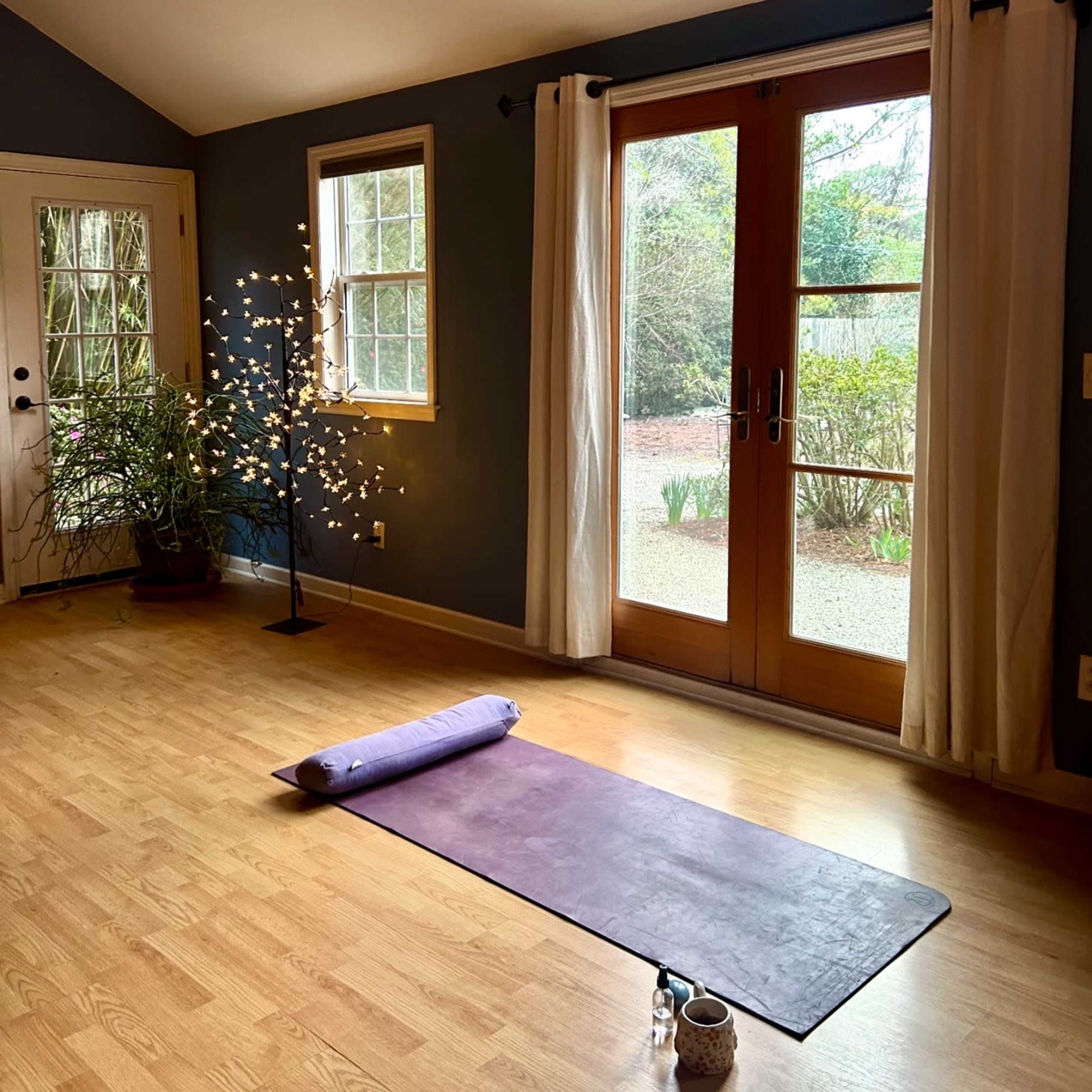 Stand Alone Studio and Backyard Garden Image in Hugh Macrae, Wilmington, NC