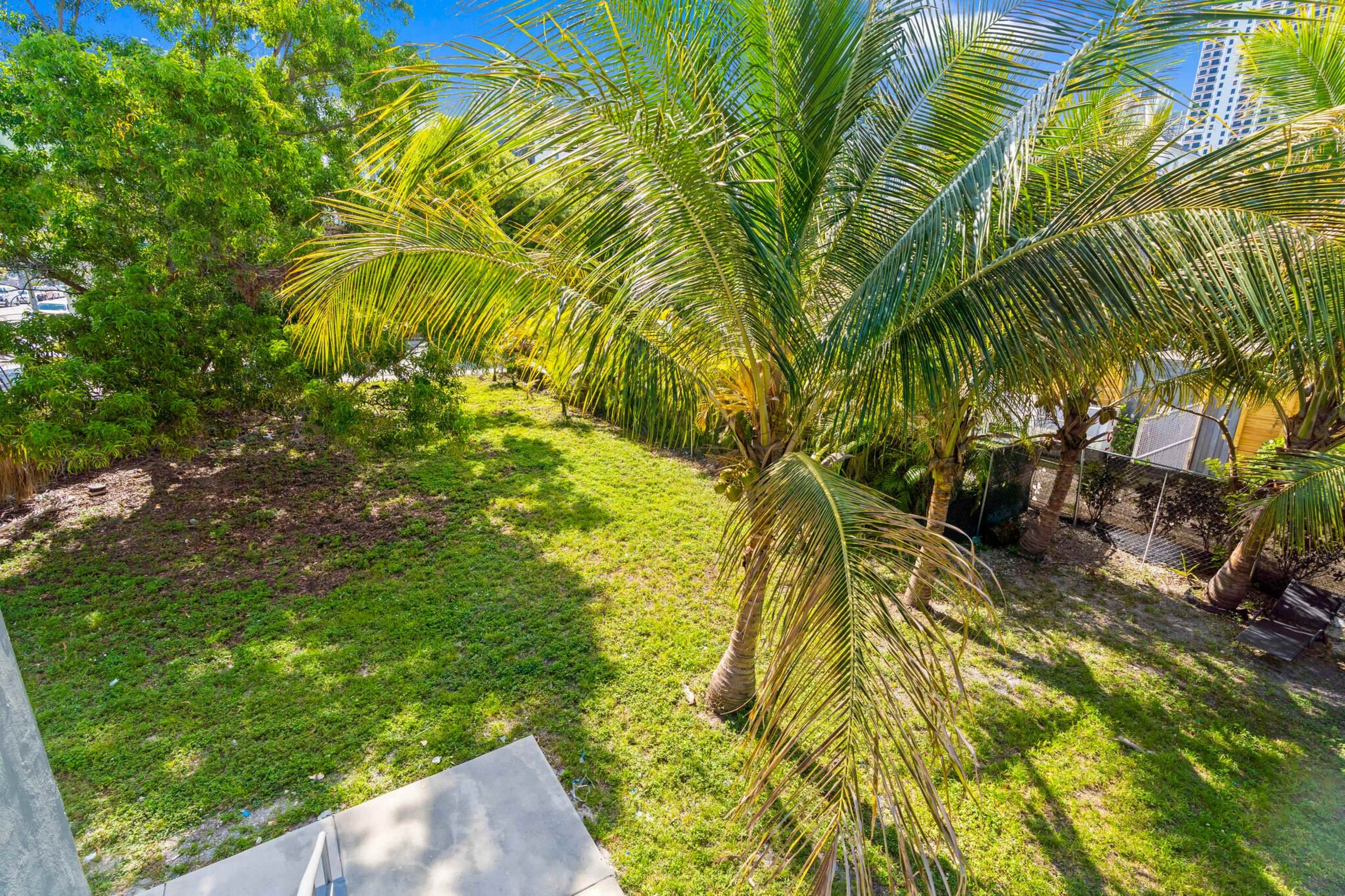The image shows a green lawn surrounded by palm trees in a sunny outdoor setting.