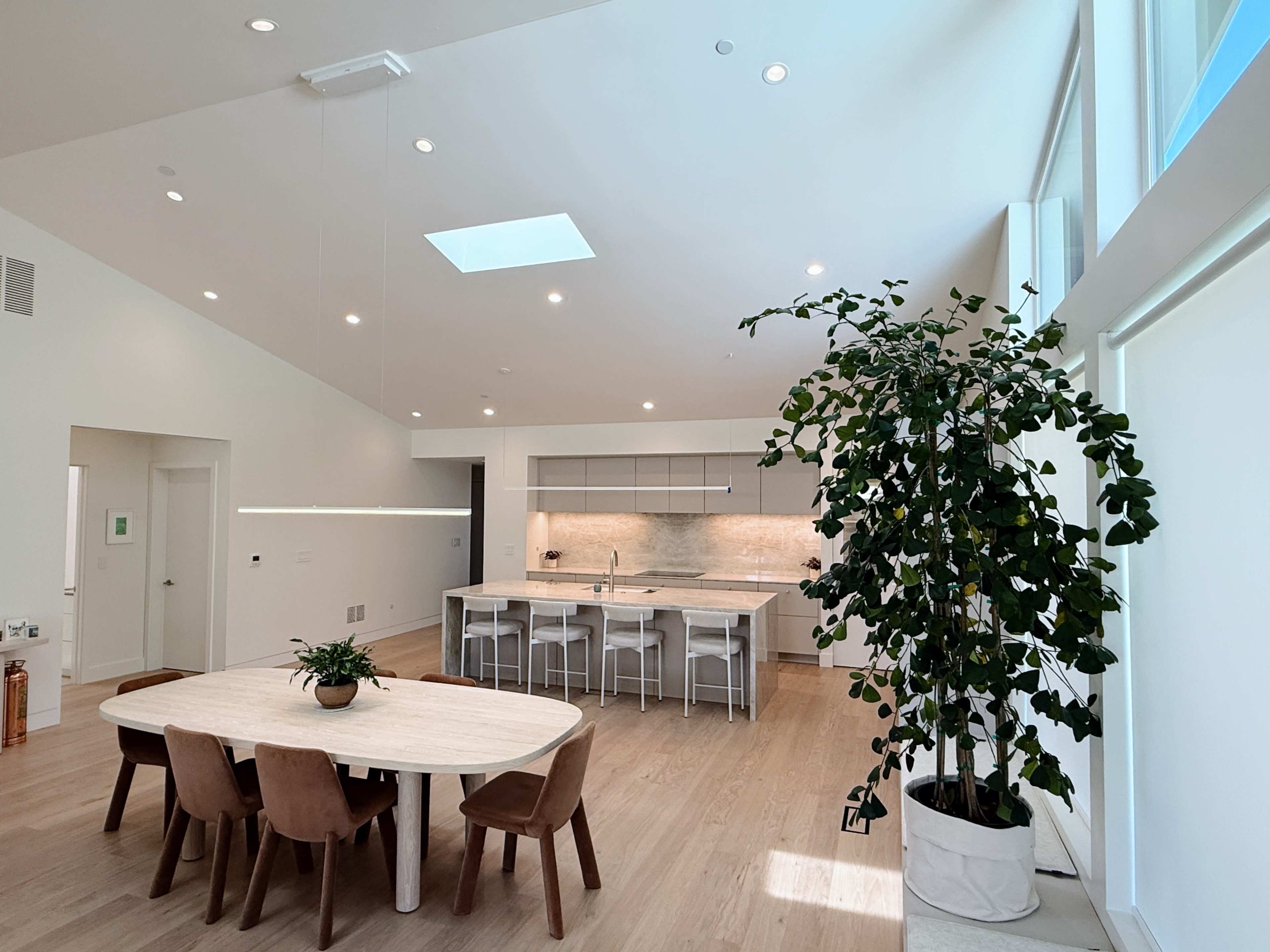 Light-Filled Modern Scandi Home in Petaluma Image in Petaluma, Petaluma, CA