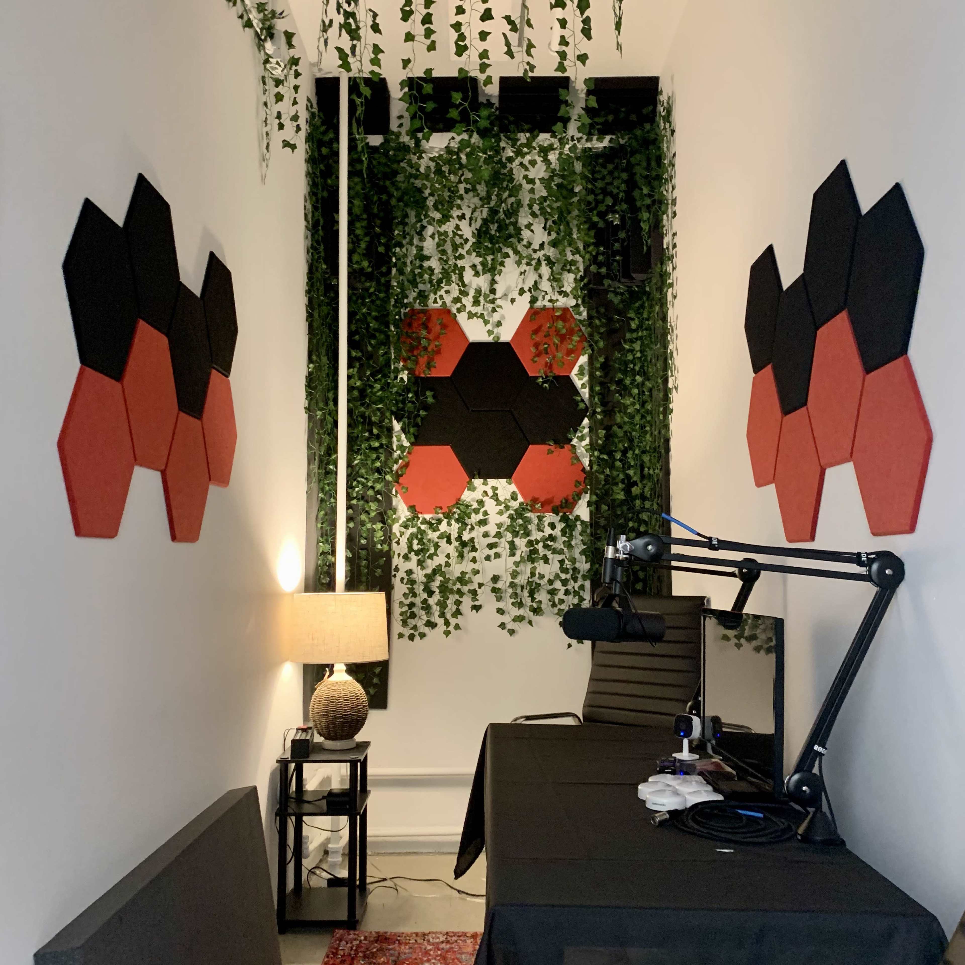 The image shows a small room with hexagonal wall decorations in black and red, a desk with a microphone, a lamp, and plants cascading from the ceiling.