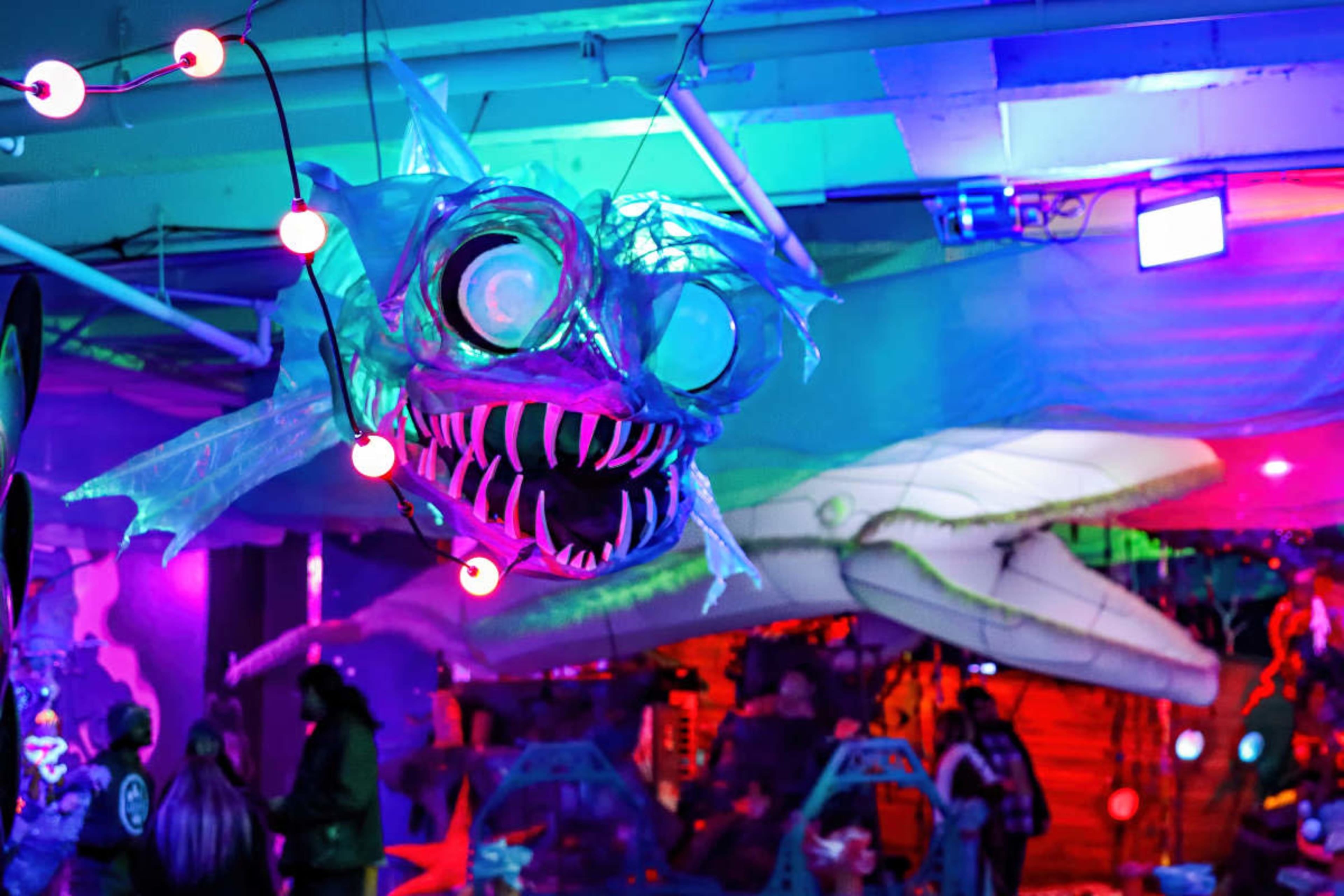 Immersive Art Wonderland with Surreal, Interactive Installations Image in Southwest Portland, Portland, OR