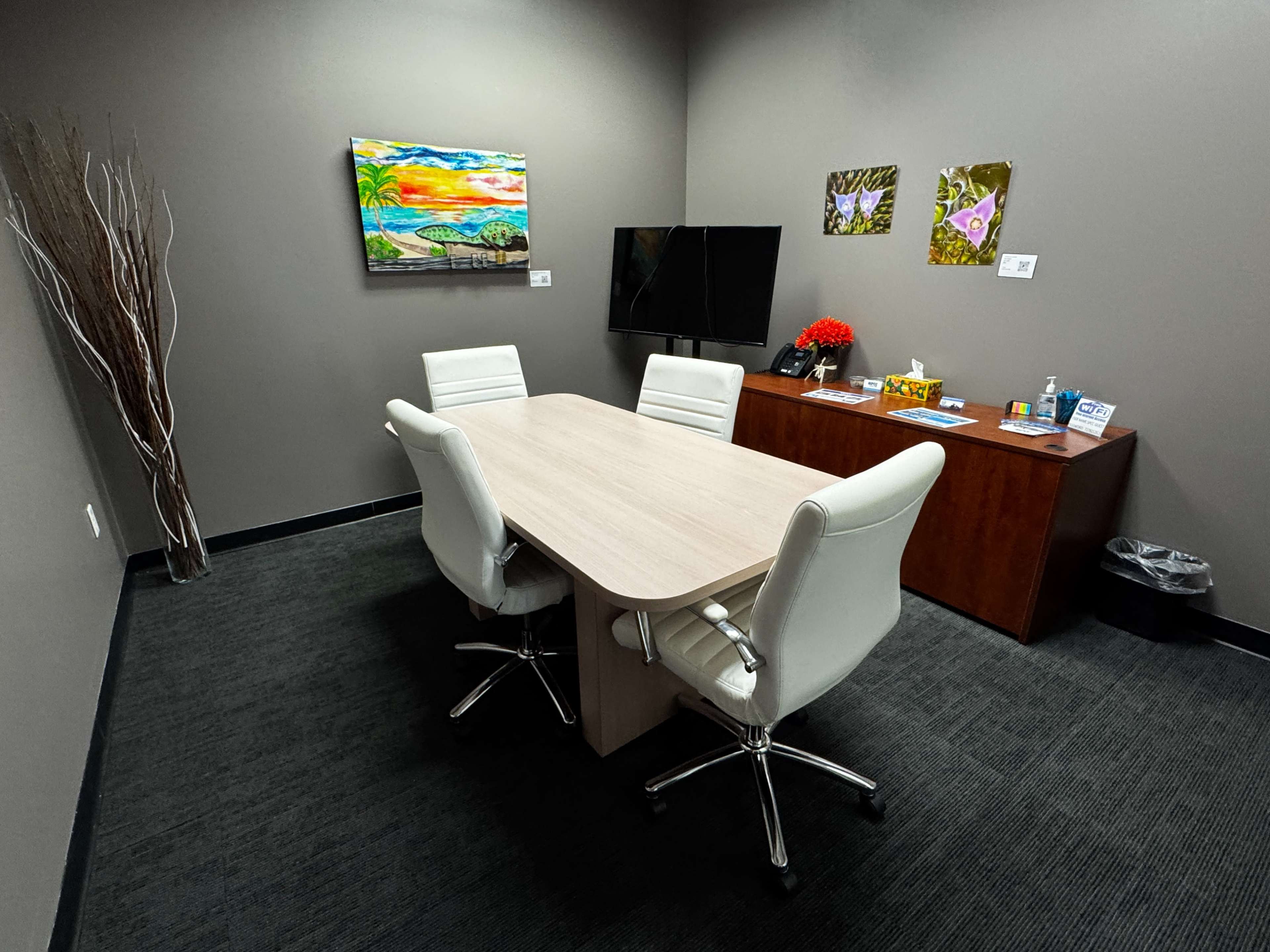 Private Meeting Room in North St. Pete | TV & Reception Image in Barcley Estates, St. Petersburg, FL