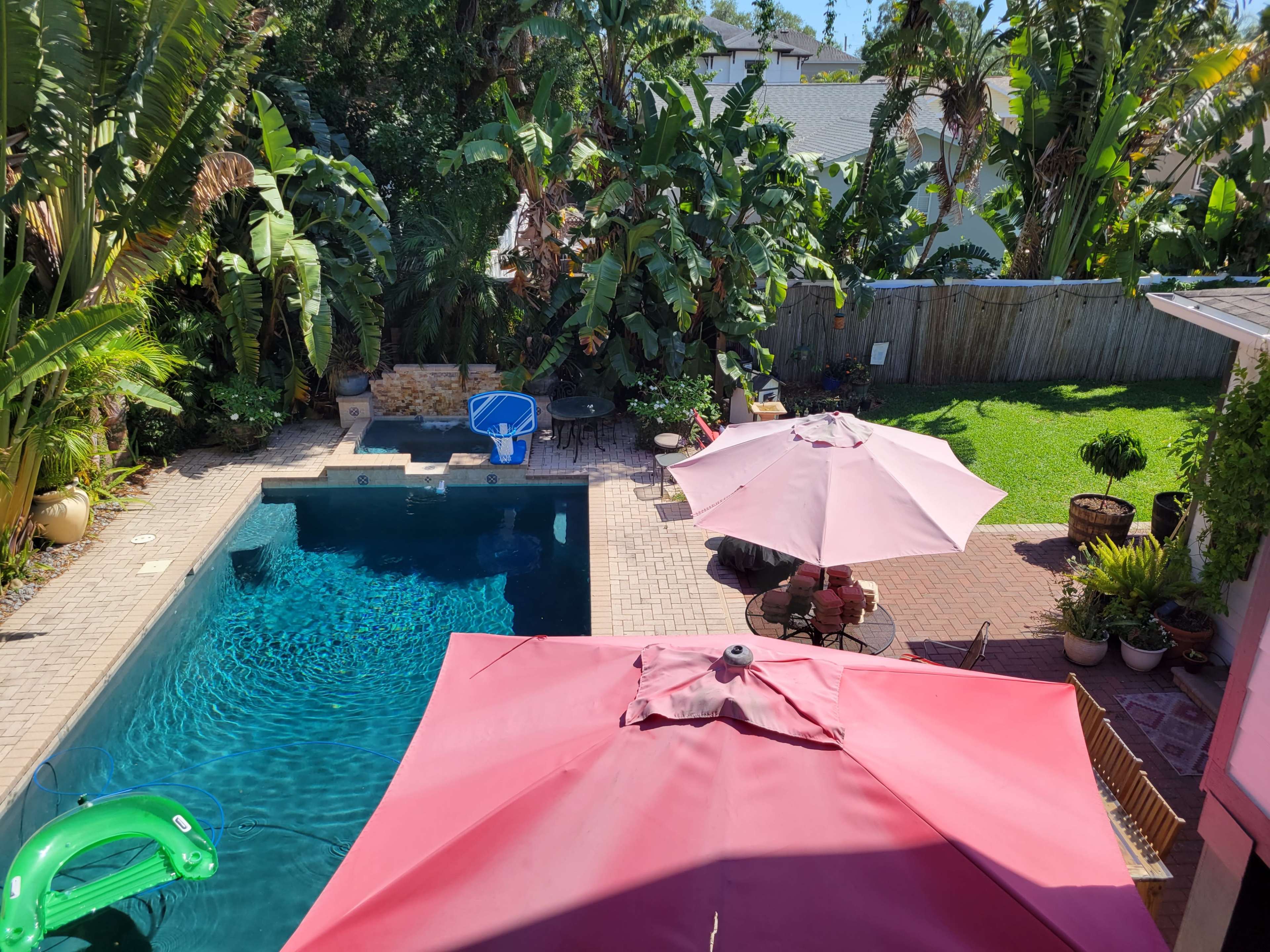 The image shows a backyard with a swimming pool surrounded by tropical plants and two large umbrellas over a patio area.