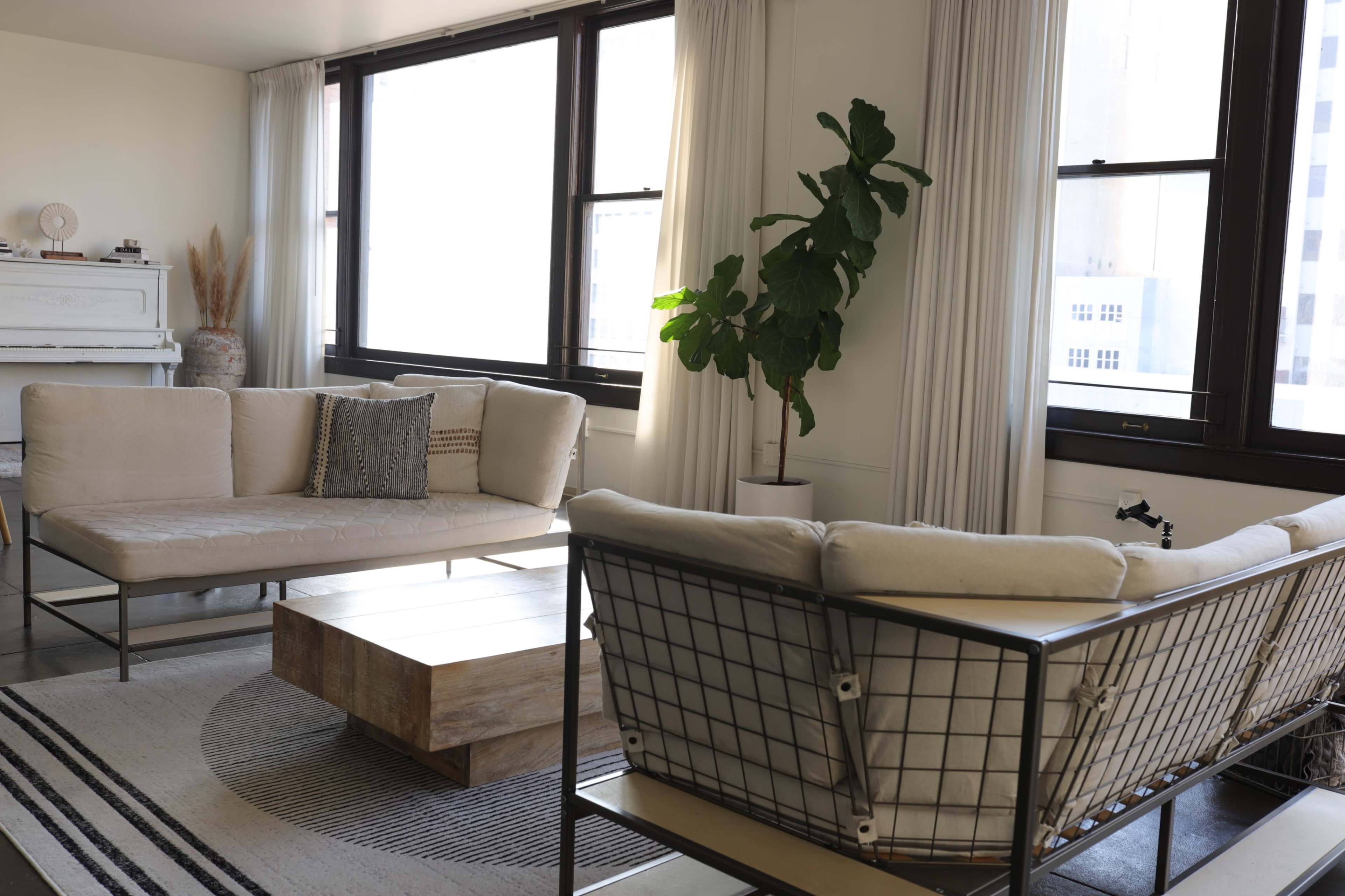 The image shows a modern living room featuring two couches, a wooden coffee table, and a large plant near the windows.