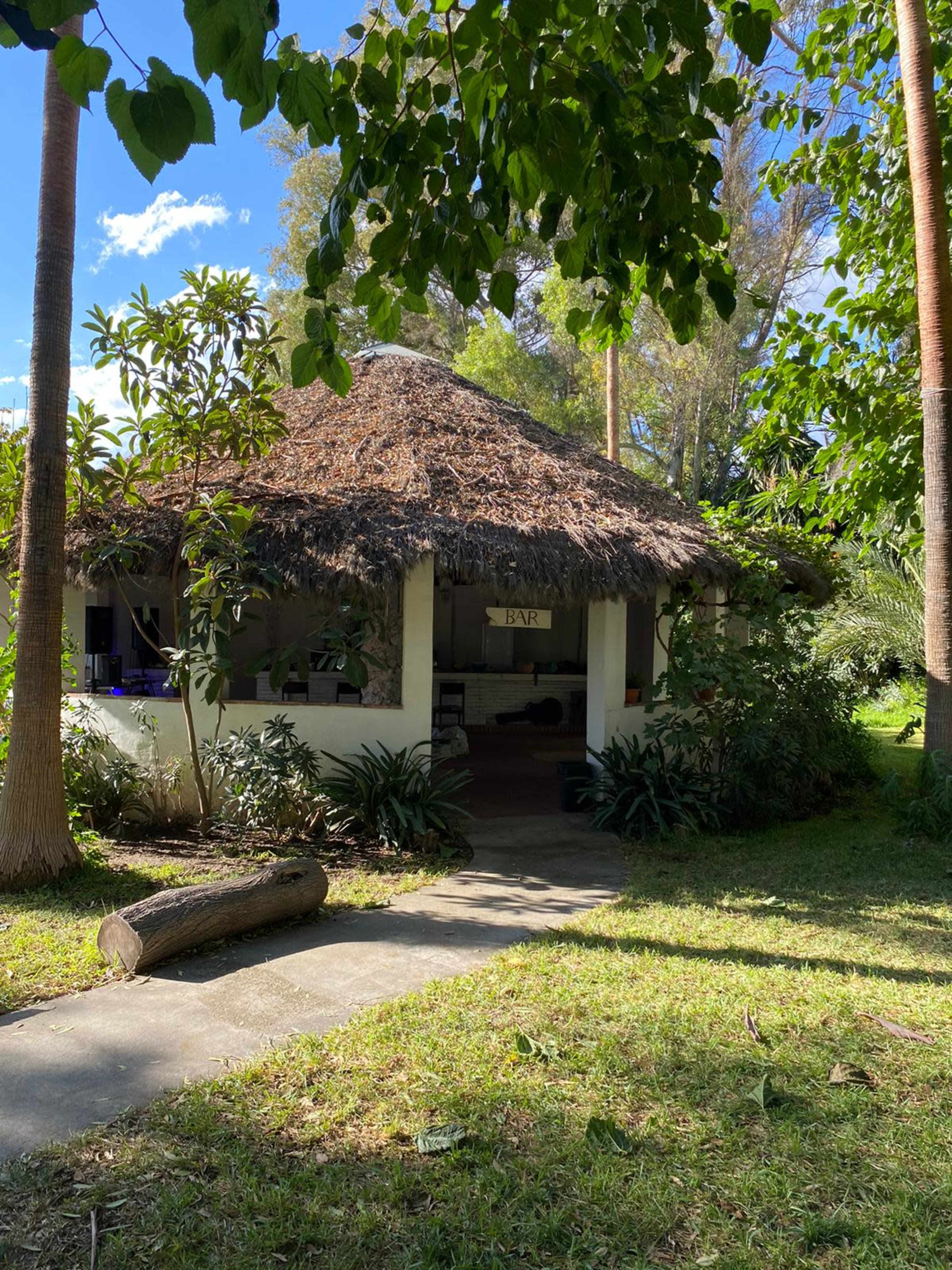A thatched-roof building is surrounded by greenery, with a stone pathway leading to its entrance.