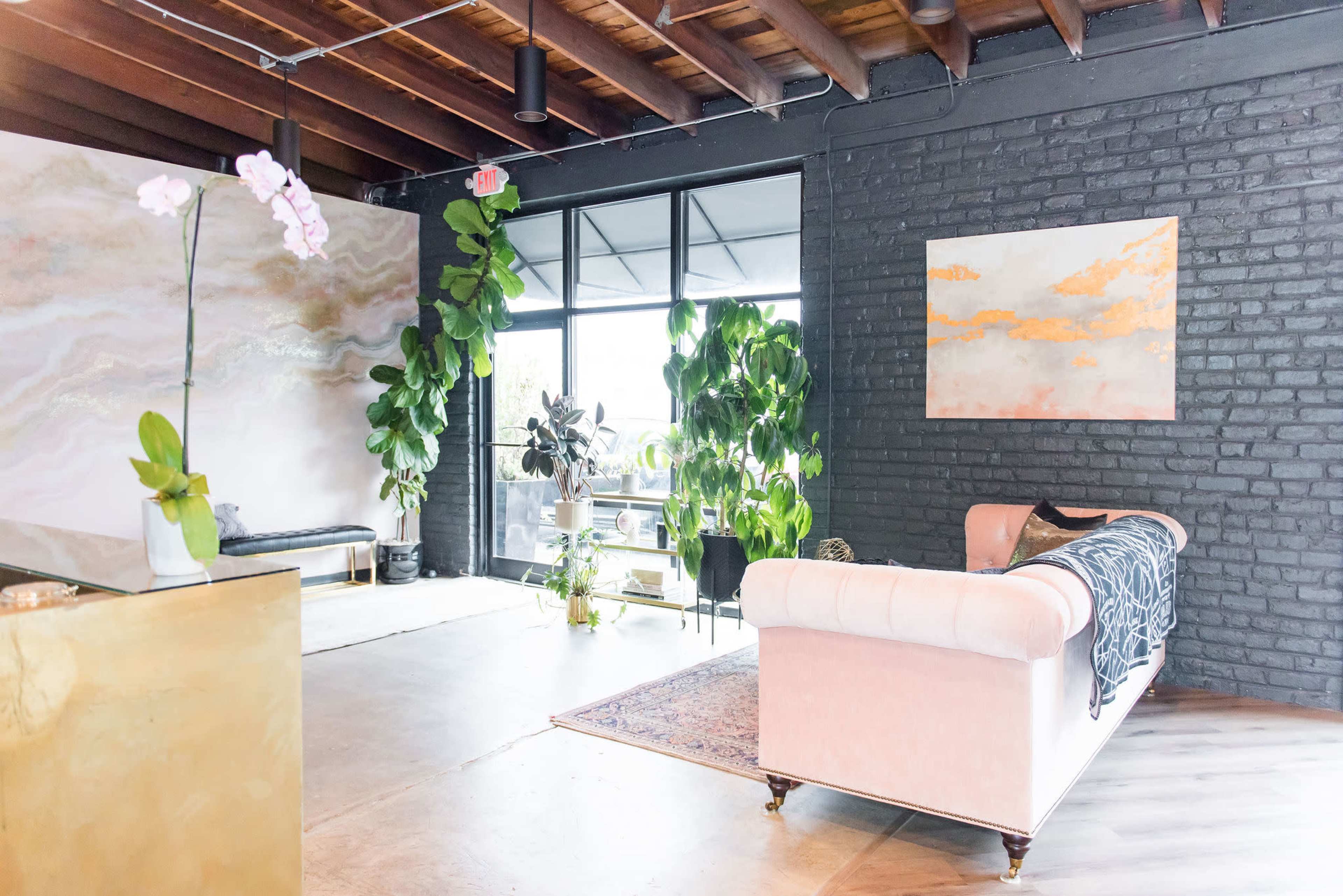 Natural Light Filled Glamorous Studio in Scott's Addition Image in Scott's Addition Historic District, RICHMOND, VA
