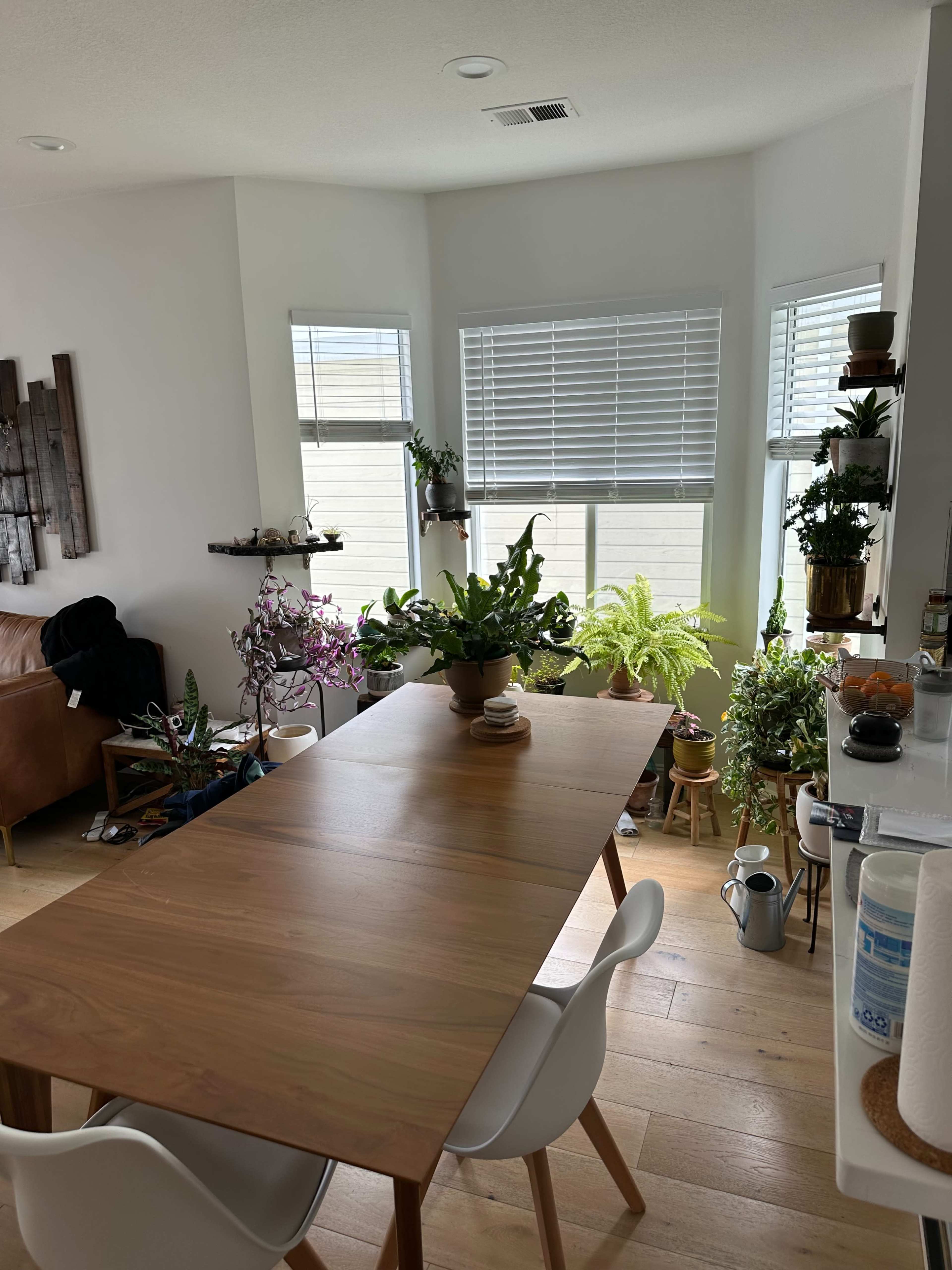 A wooden dining table surrounded by white chairs is positioned near large windows filled with various plants and greenery.
