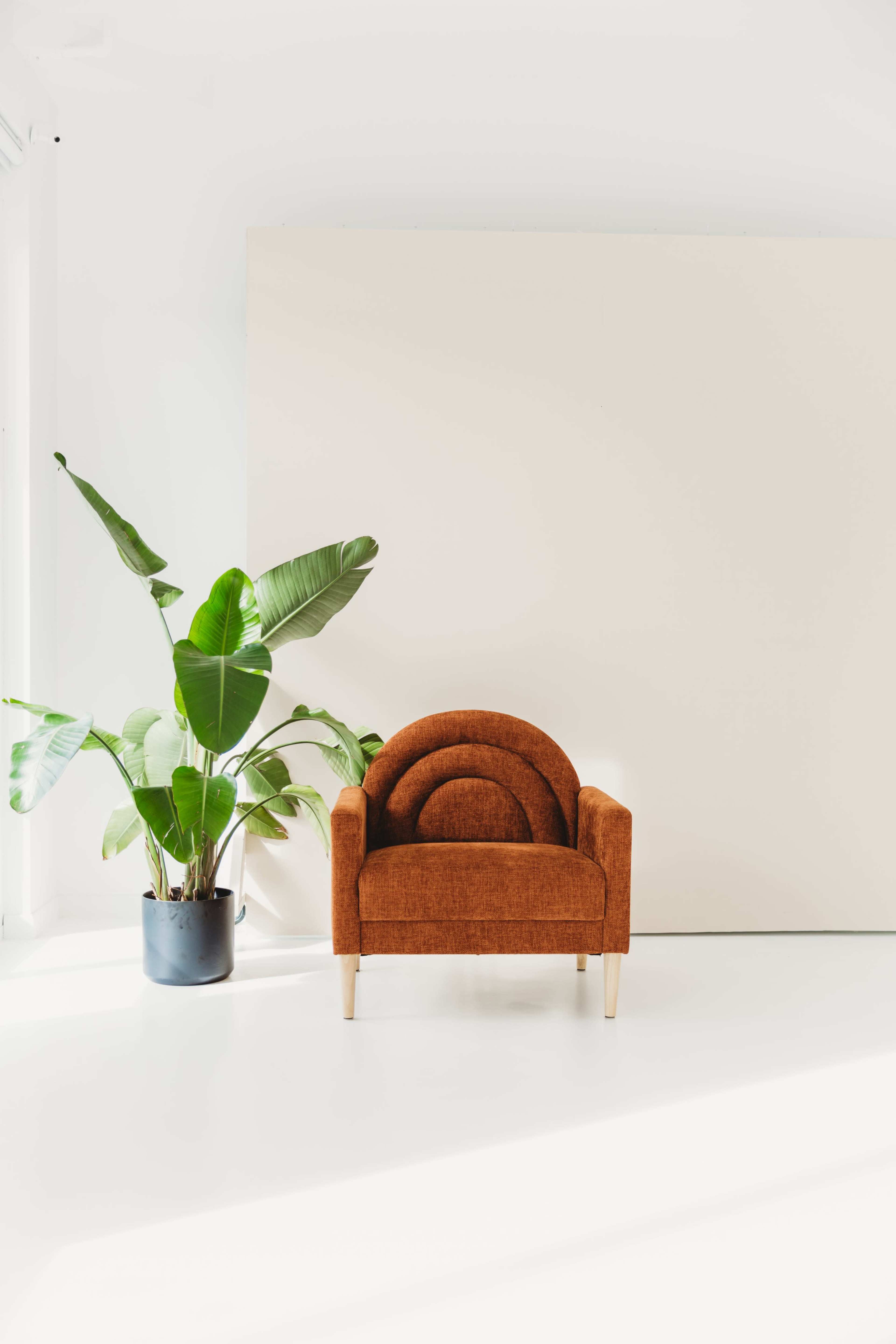 A vintage orange chair is positioned next to a large potted plant in a bright, minimalistic room.