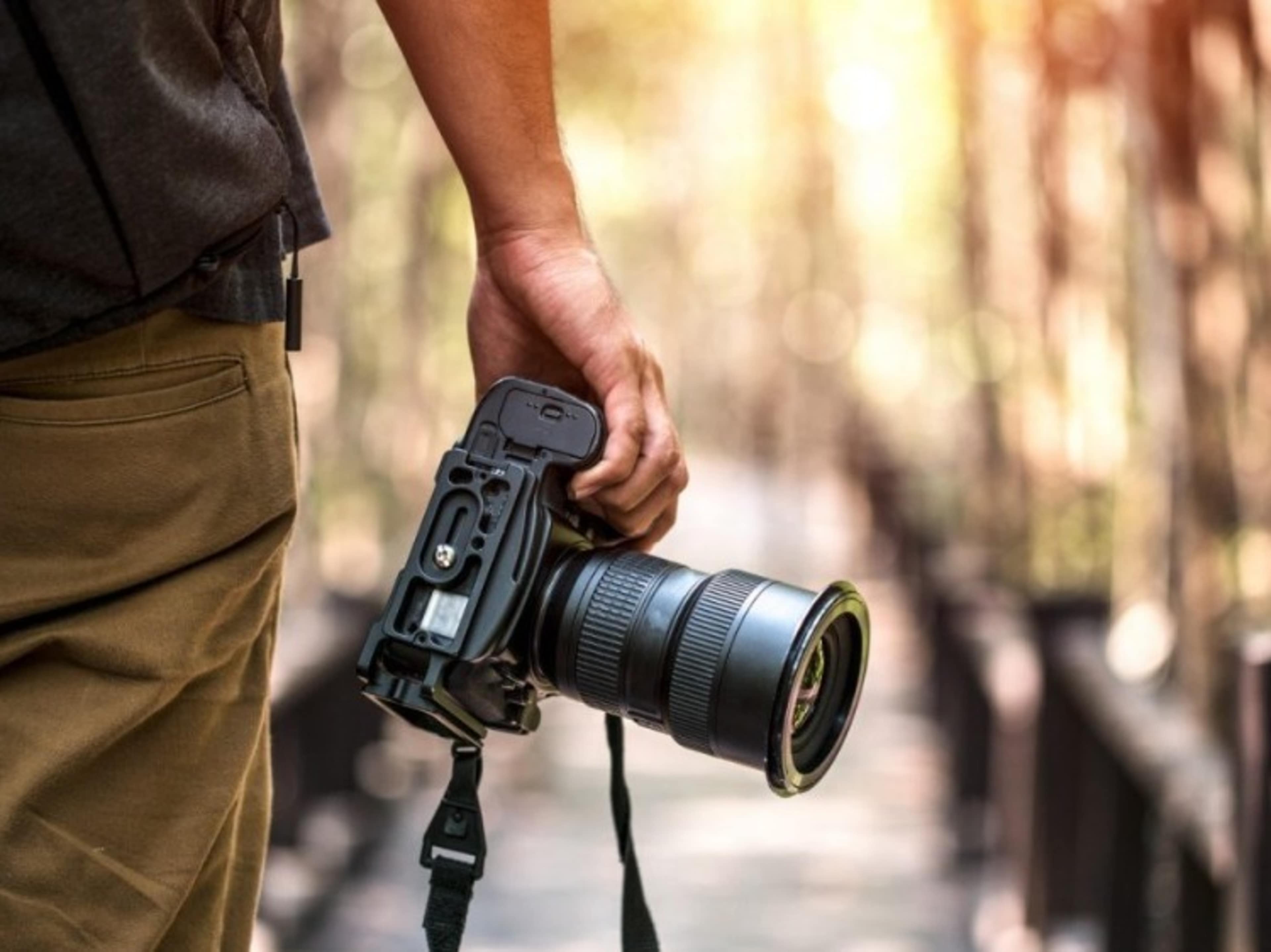 Professional Photographer