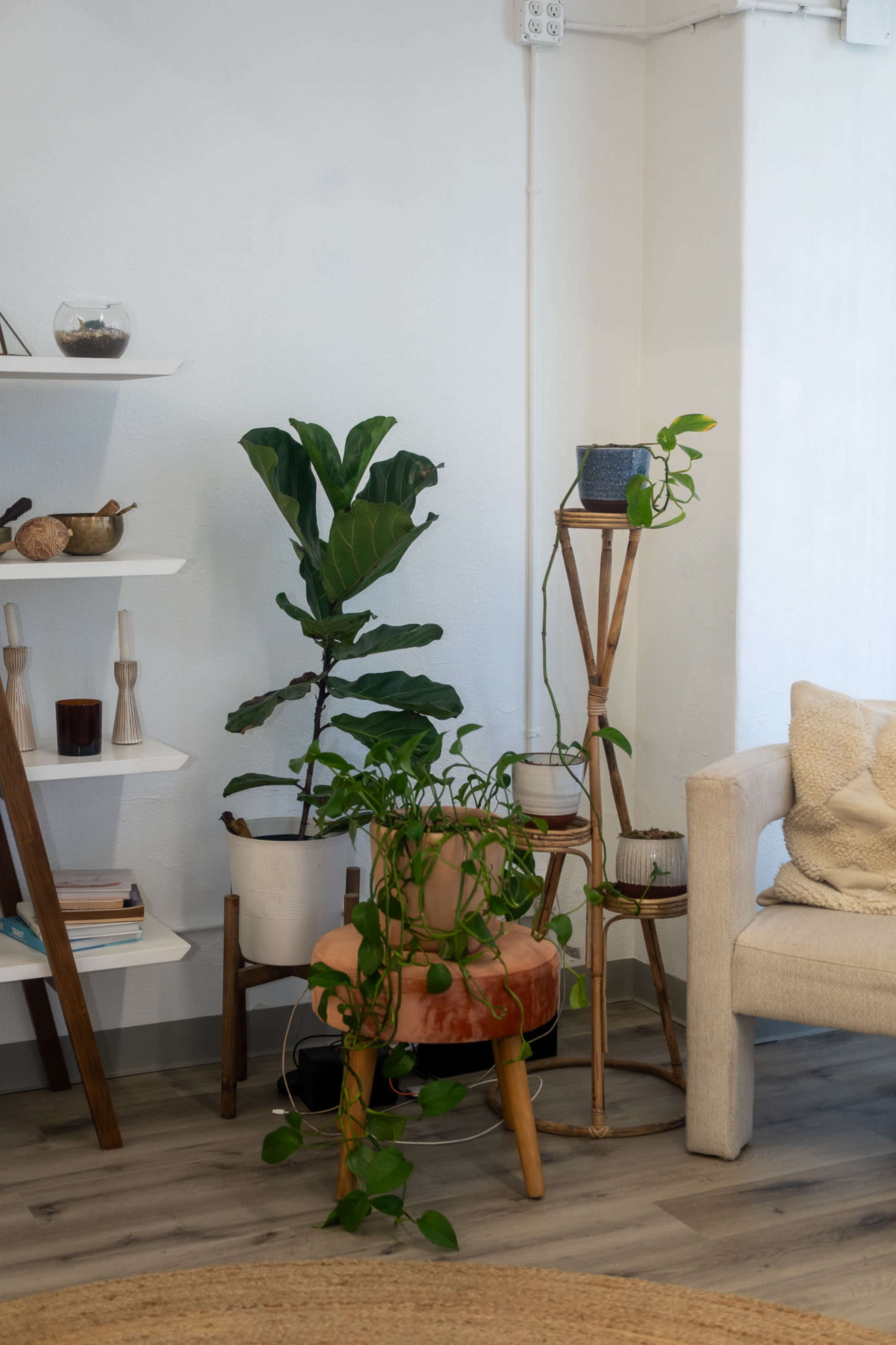 The image shows a cozy interior space with a white wall, a shelving unit displaying decorative items, and several potted plants beside a light-colored chair.