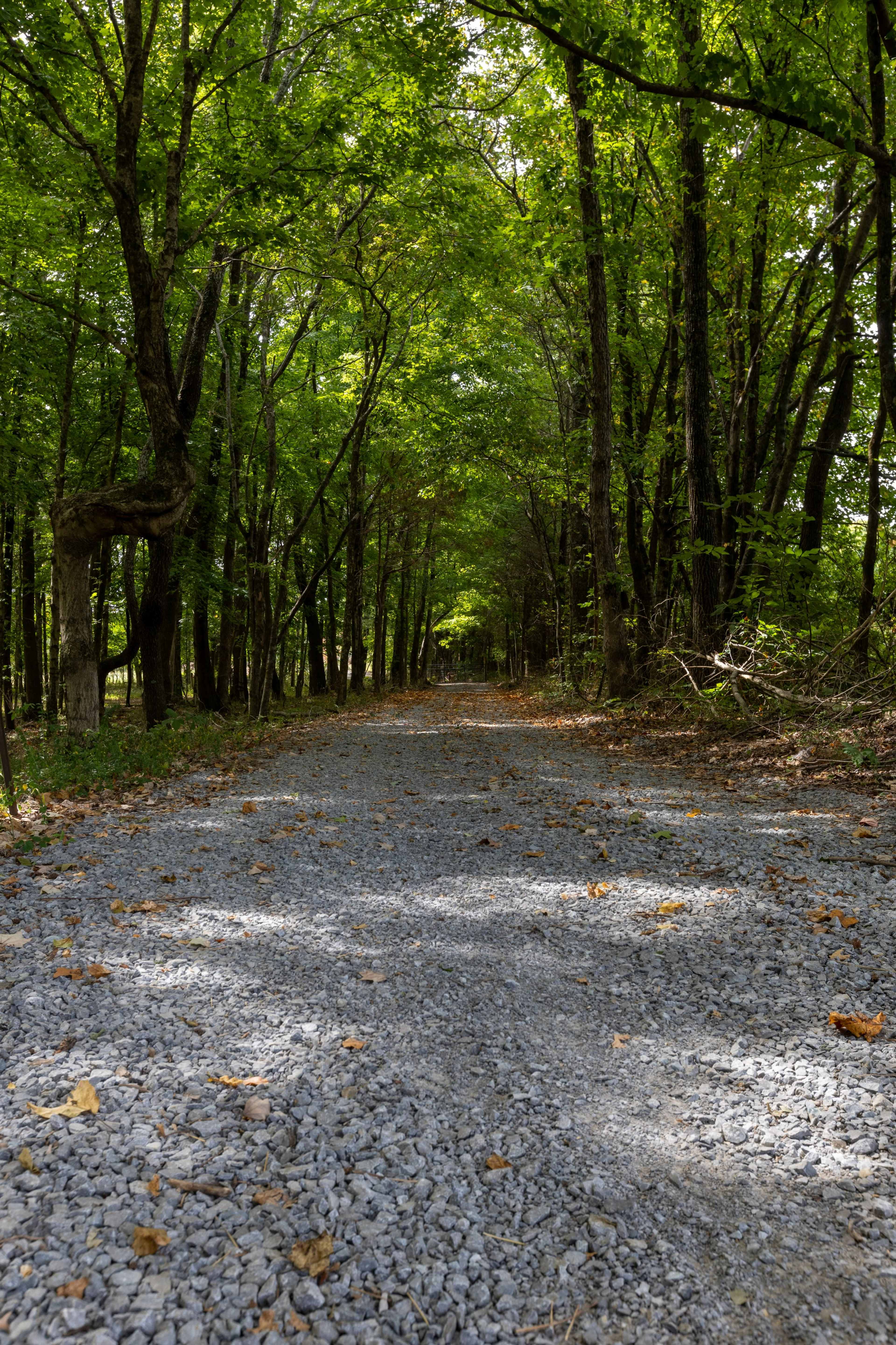 A gravel path winds through a densely wooded area with trees on either side, creating a natural canopy overhead.