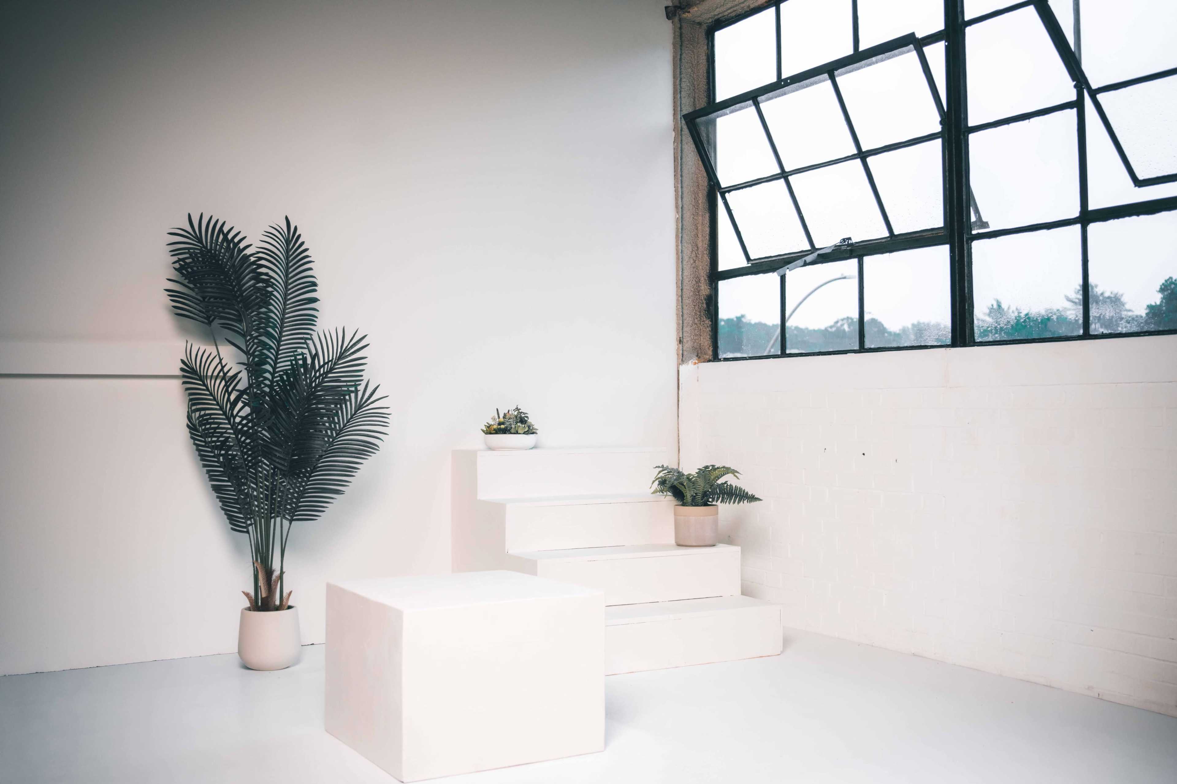 A minimalist interior features white stairs and a square table, accompanied by potted plants beside a large, grid-pane window.