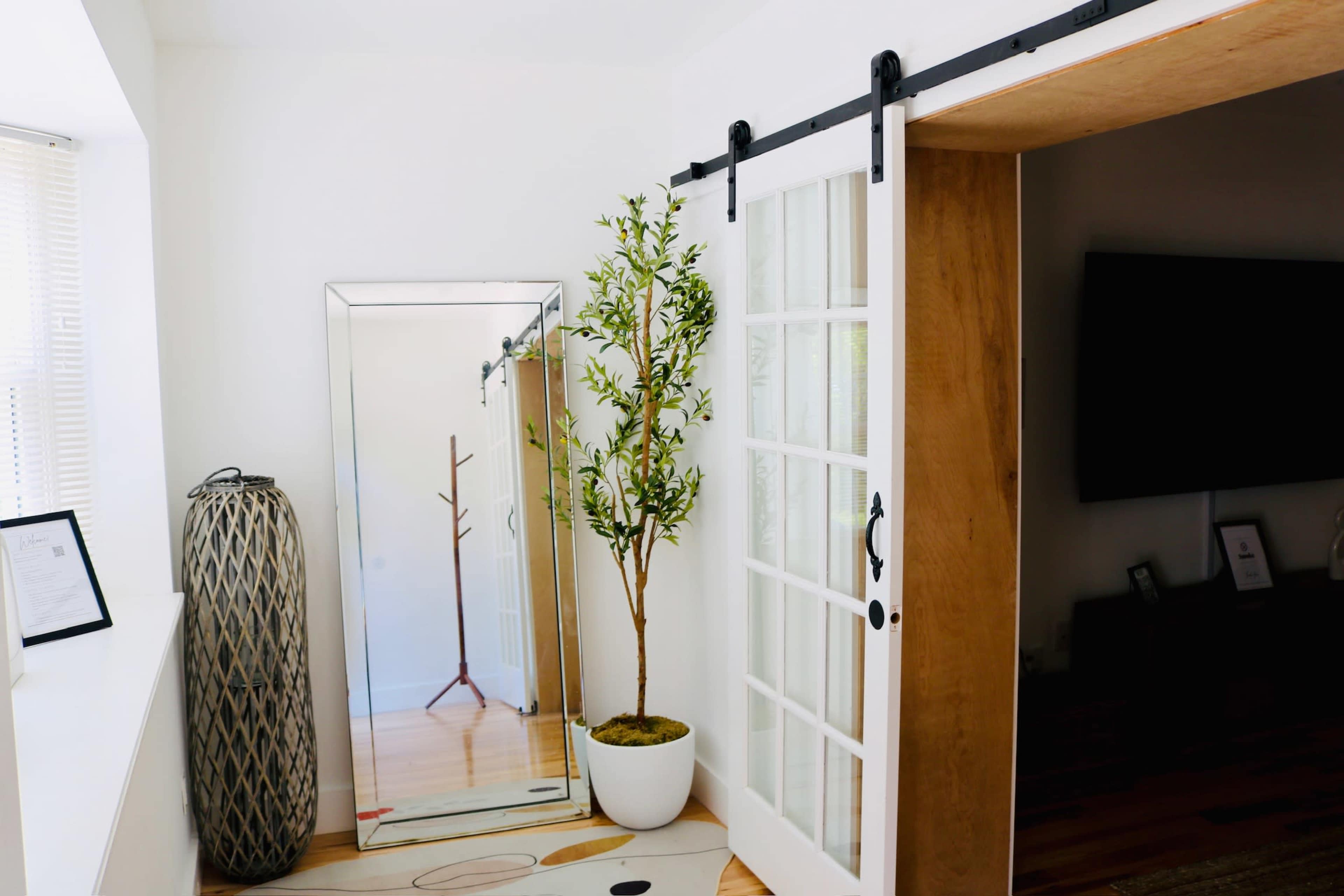The scene features a well-lit interior with a mirror, a potted plant, a decorative vase, and a sliding door made of wood and glass.