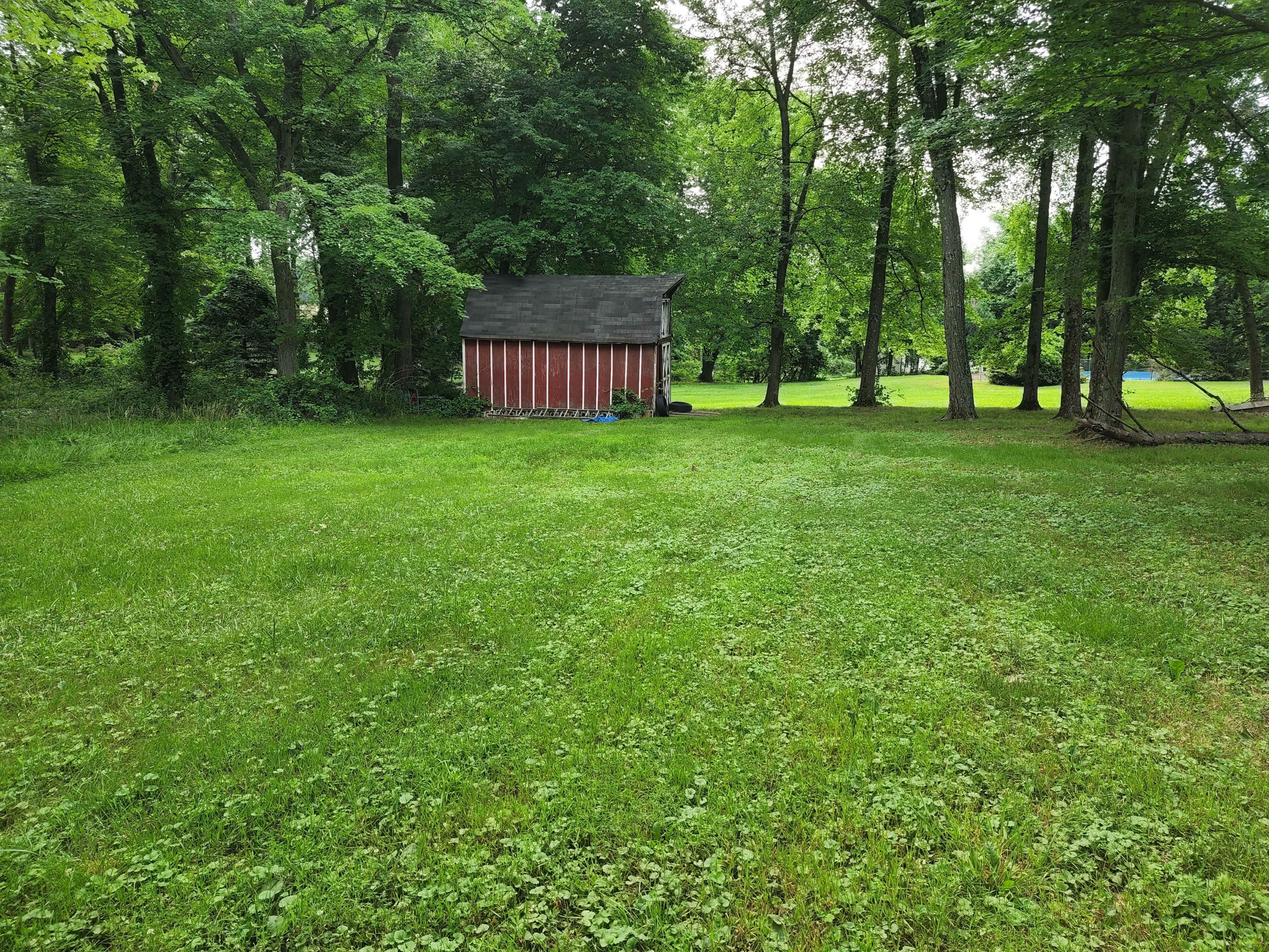 A small red shed is situated among a grassy area surrounded by trees.
