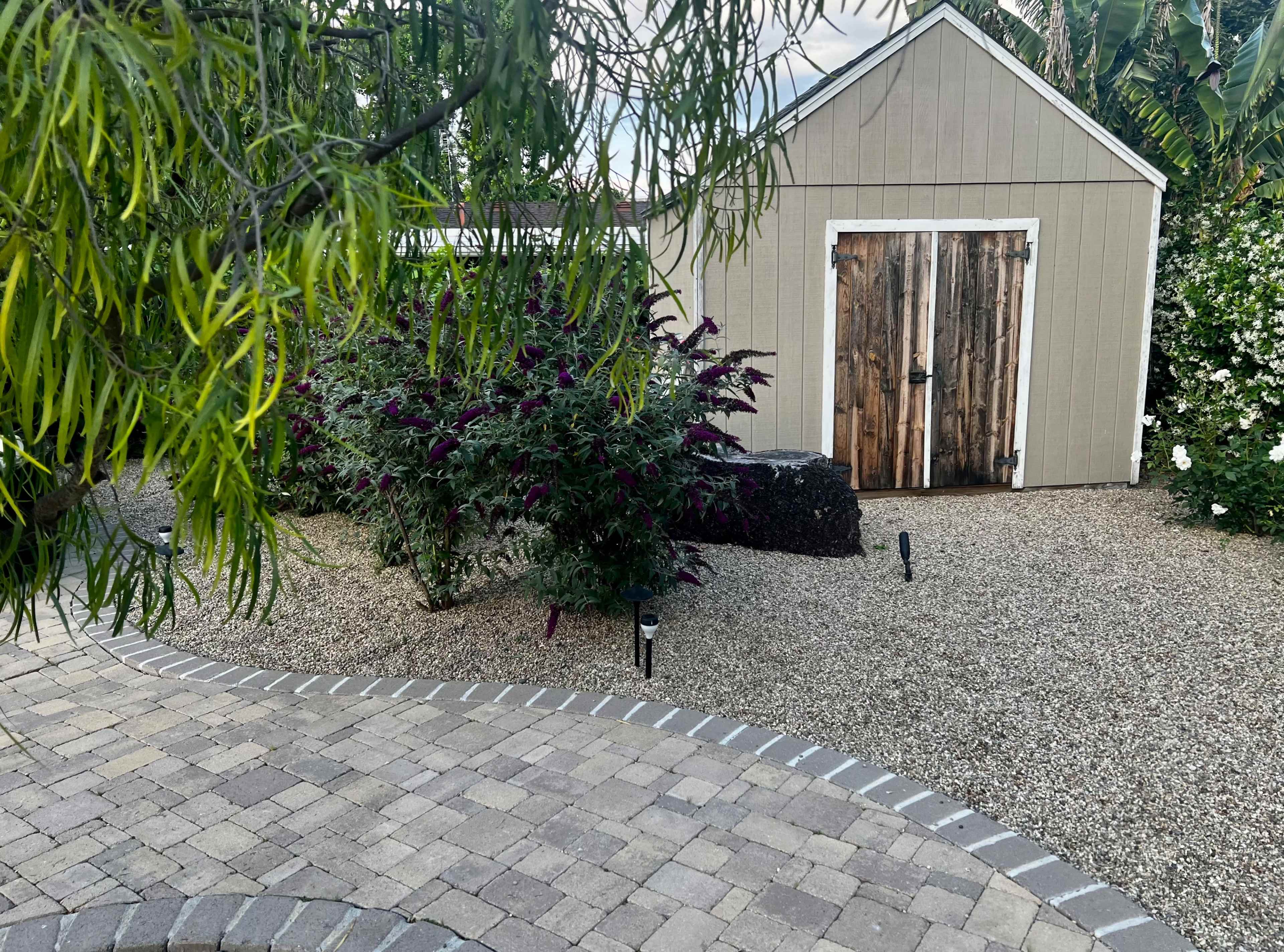 A gravel pathway leads to a shed with wooden doors, surrounded by plants and landscaping.