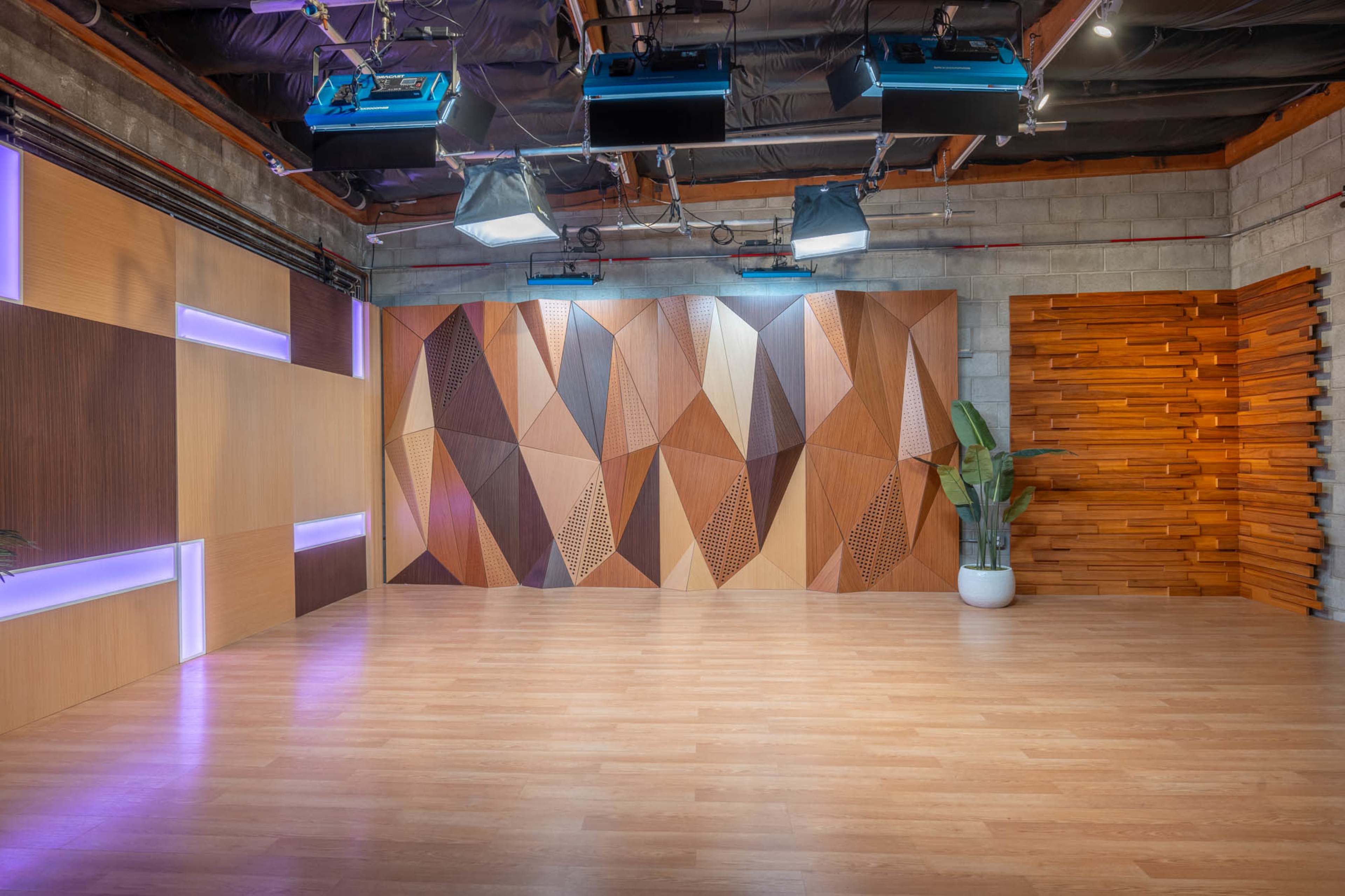 The image shows a modern studio space with geometric wooden wall panels, soft lighting, and a large potted plant on the floor.