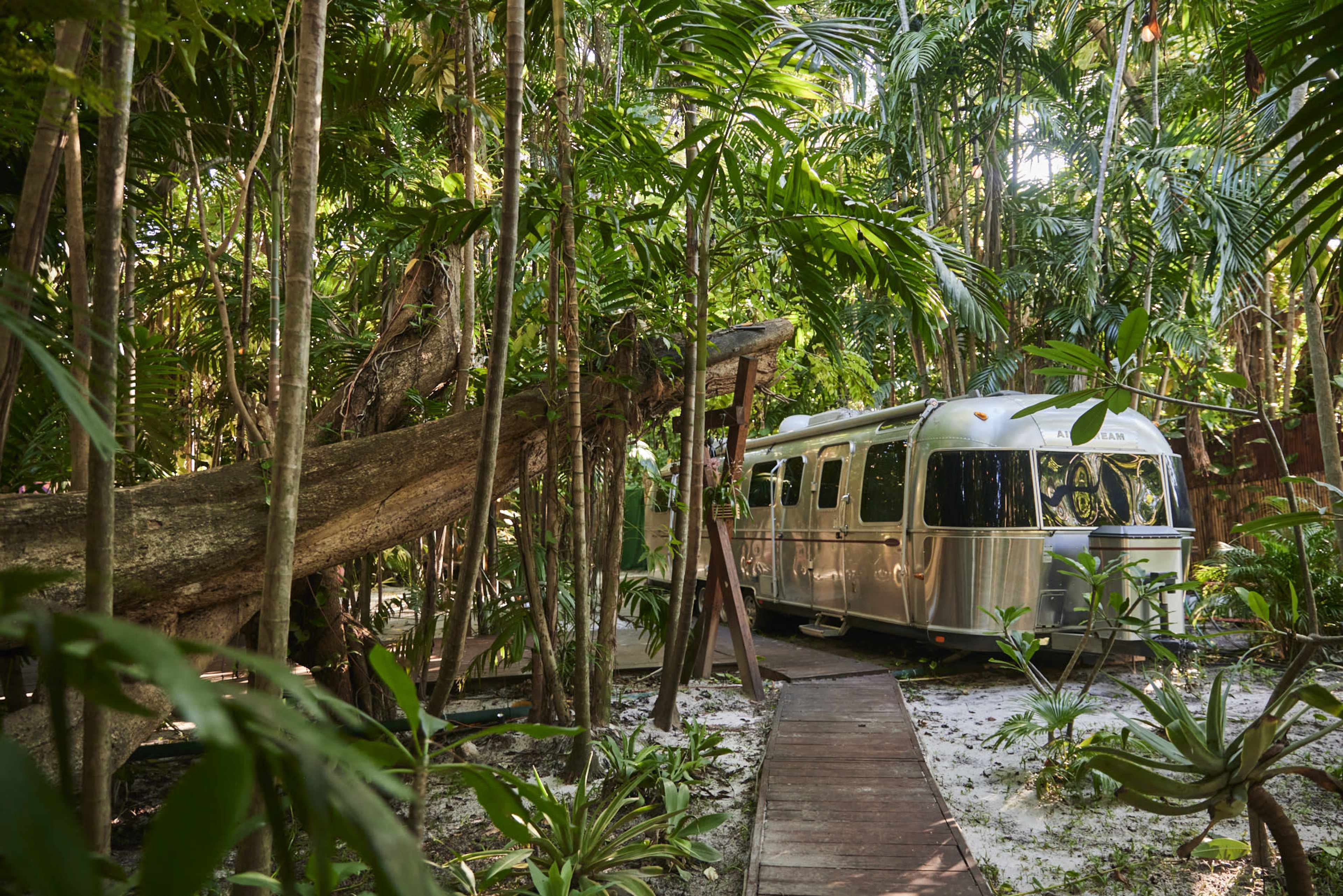An Airstream trailer is positioned amidst dense tropical foliage with a wooden walkway leading to it.